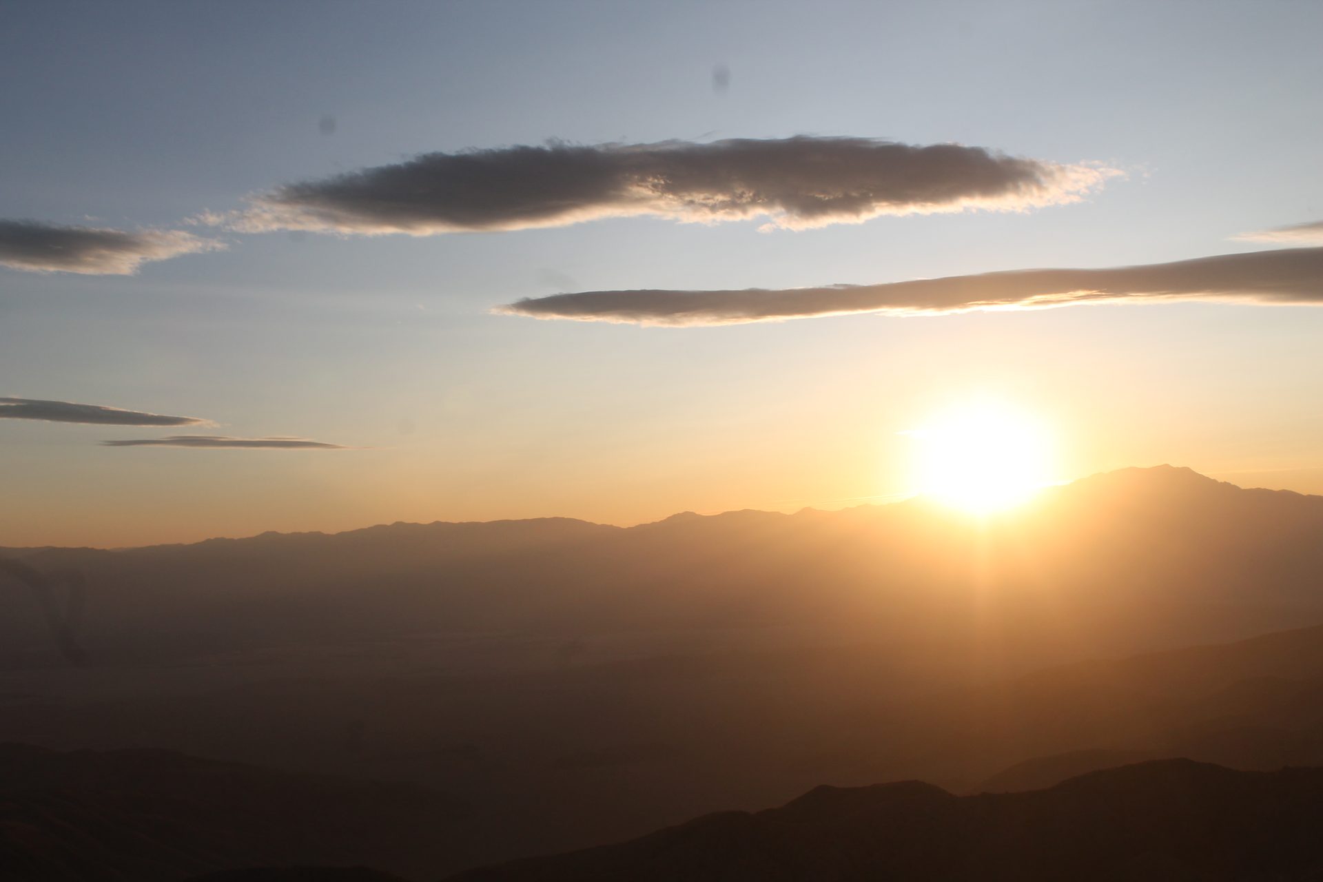 Joshua Tree photo