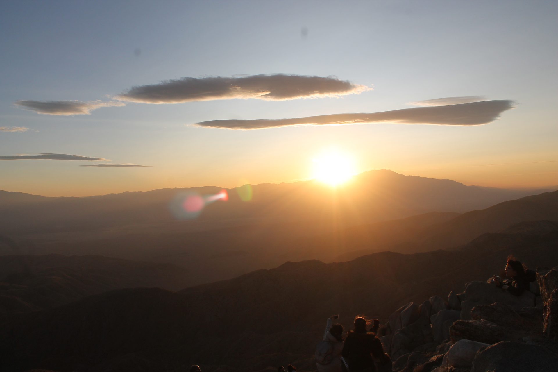 Joshua Tree photo