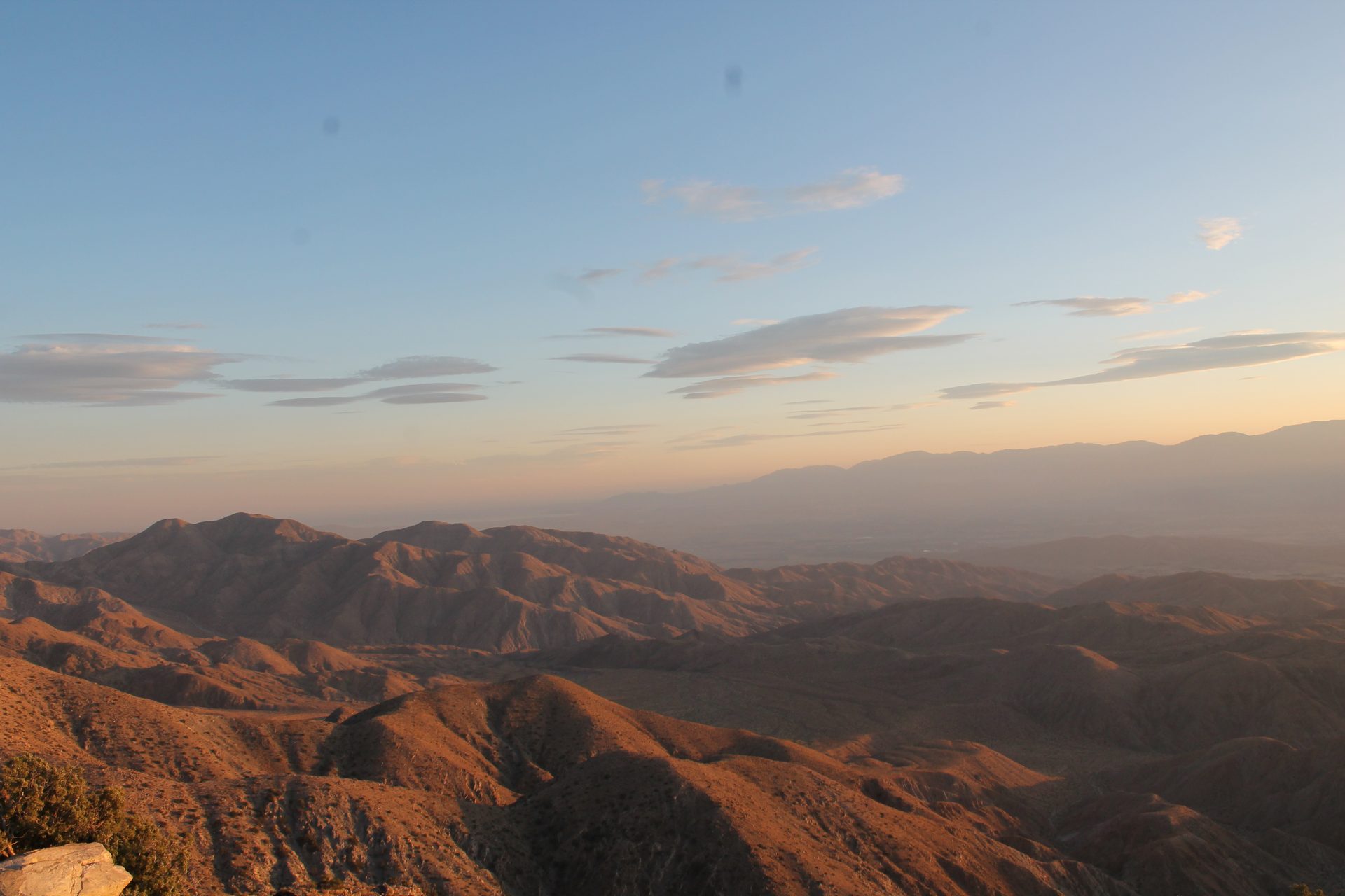Joshua Tree photo