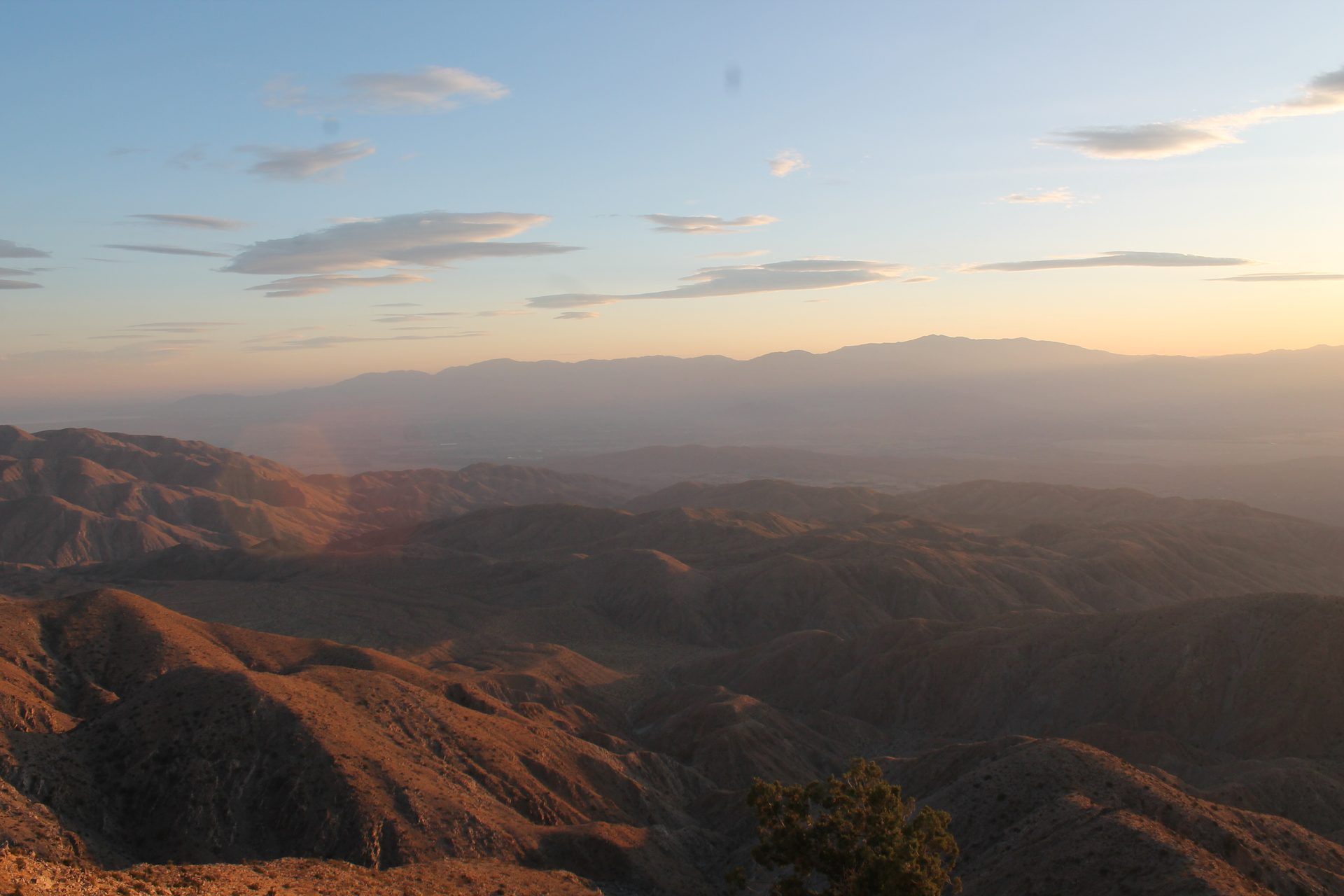 Joshua Tree photo