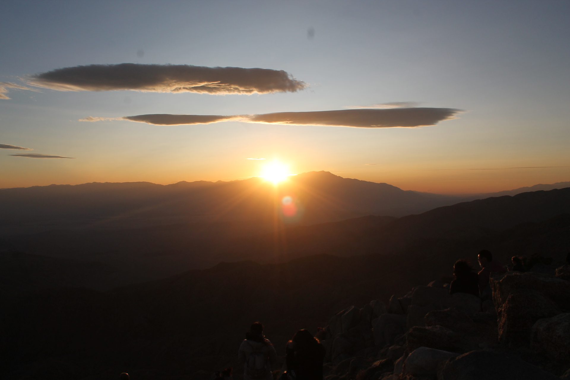 Joshua Tree photo