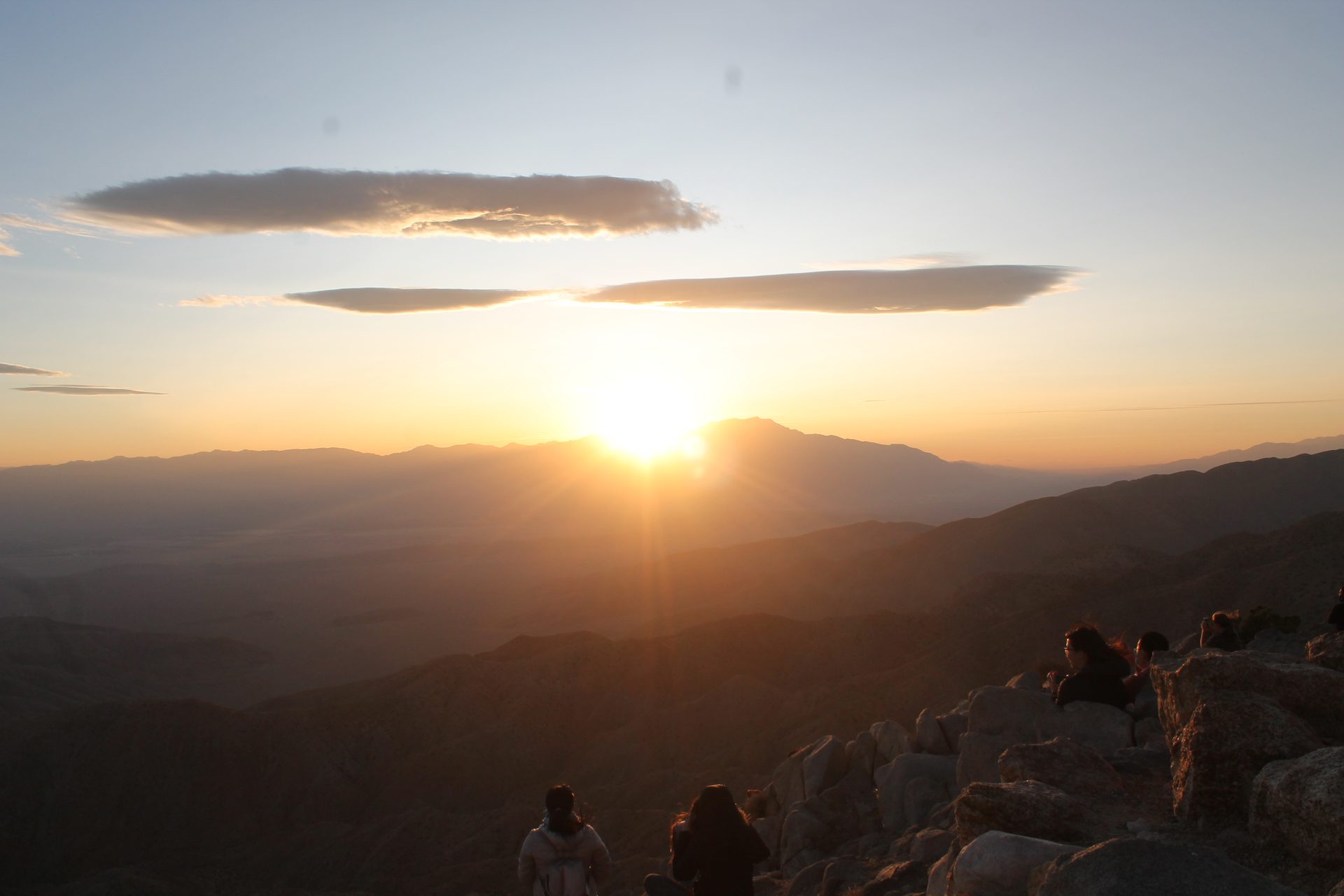 Joshua Tree photo