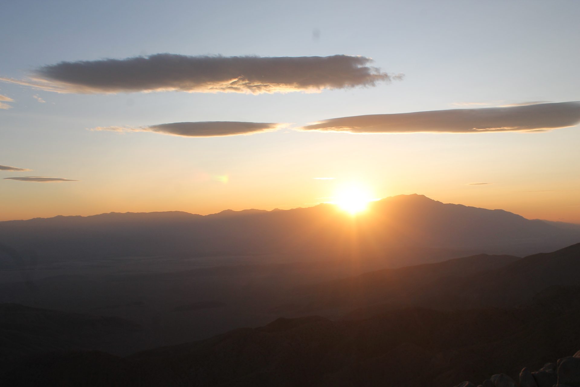 Joshua Tree photo