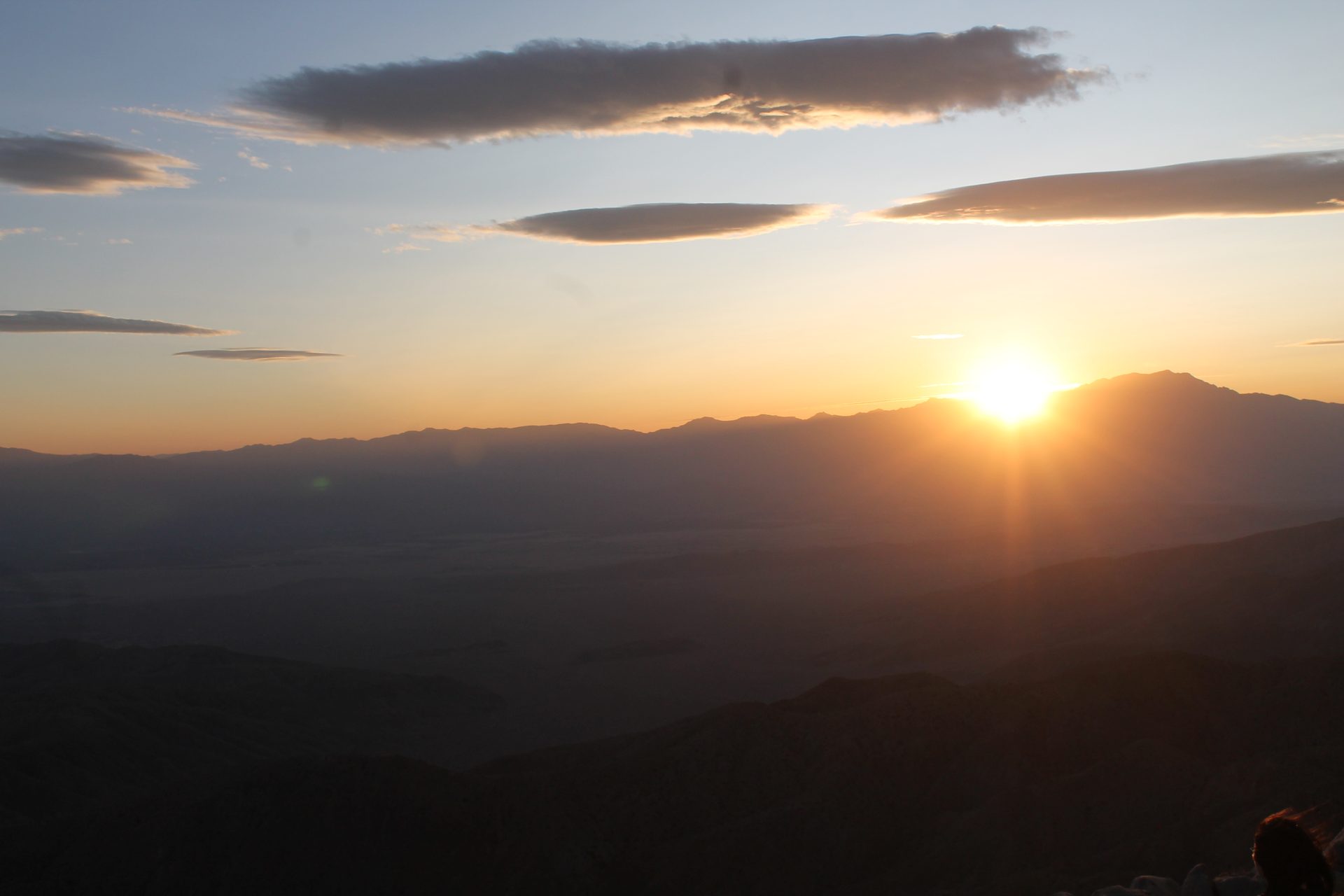 Joshua Tree photo