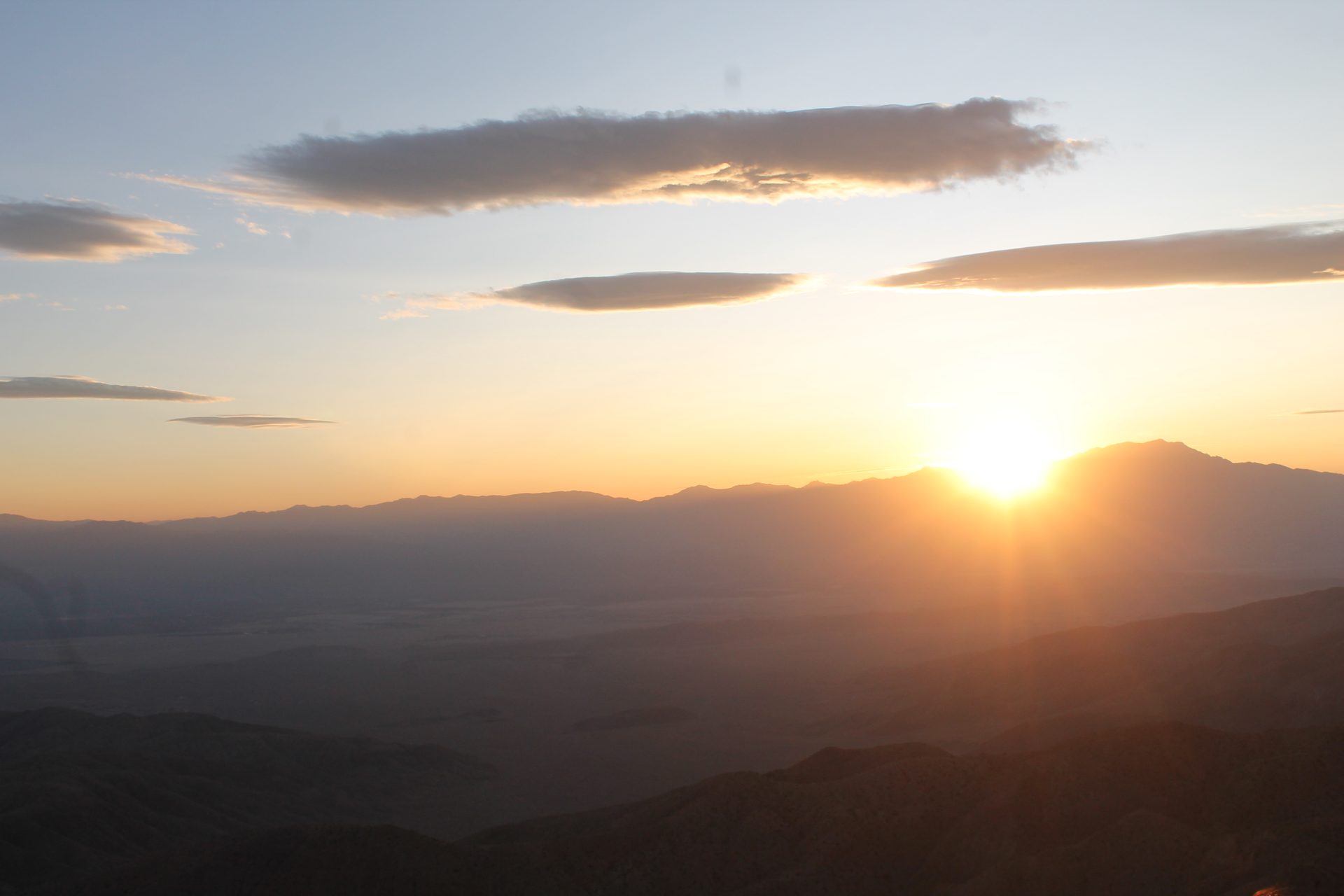 Joshua Tree photo