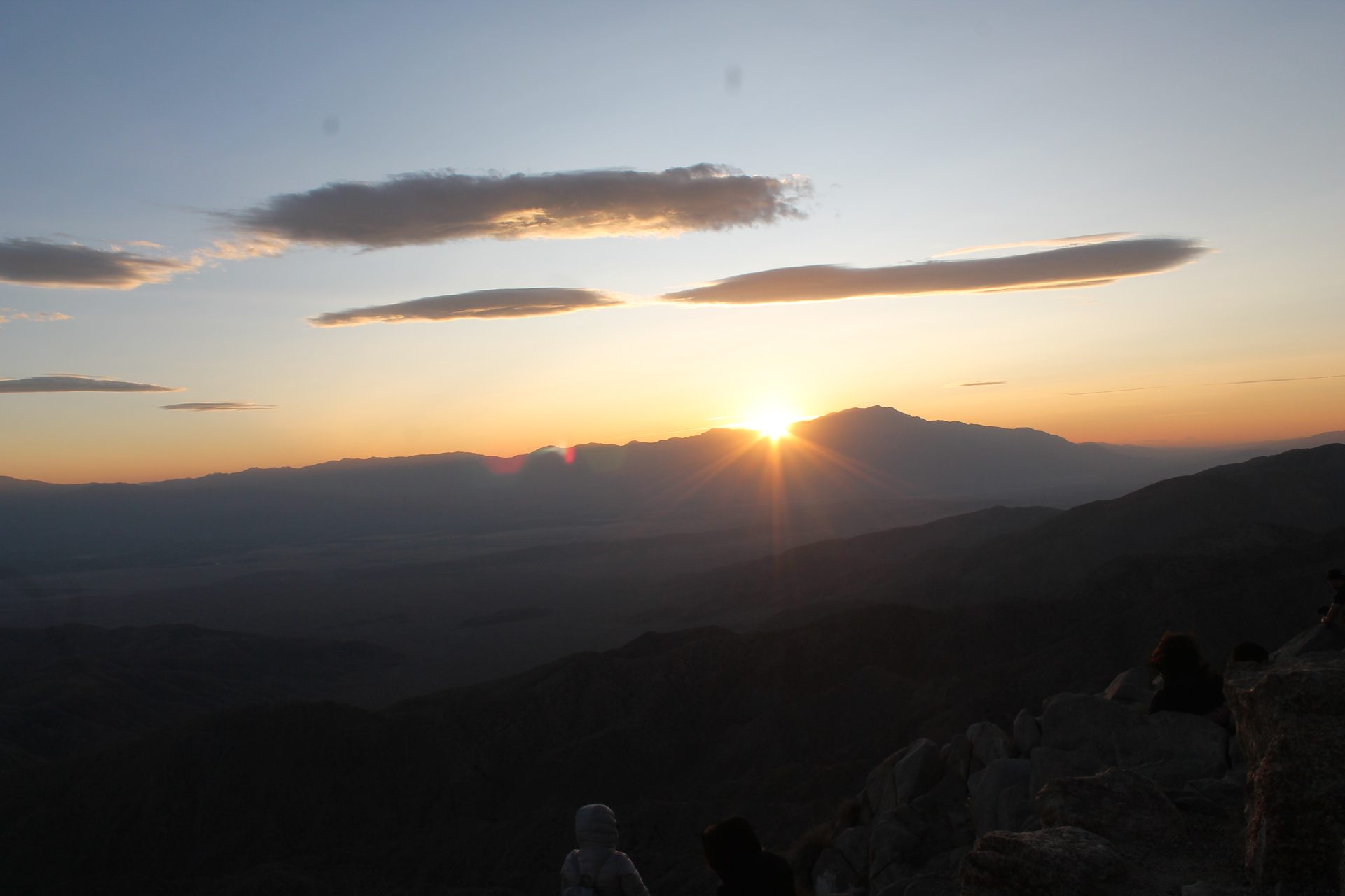 Joshua Tree photo