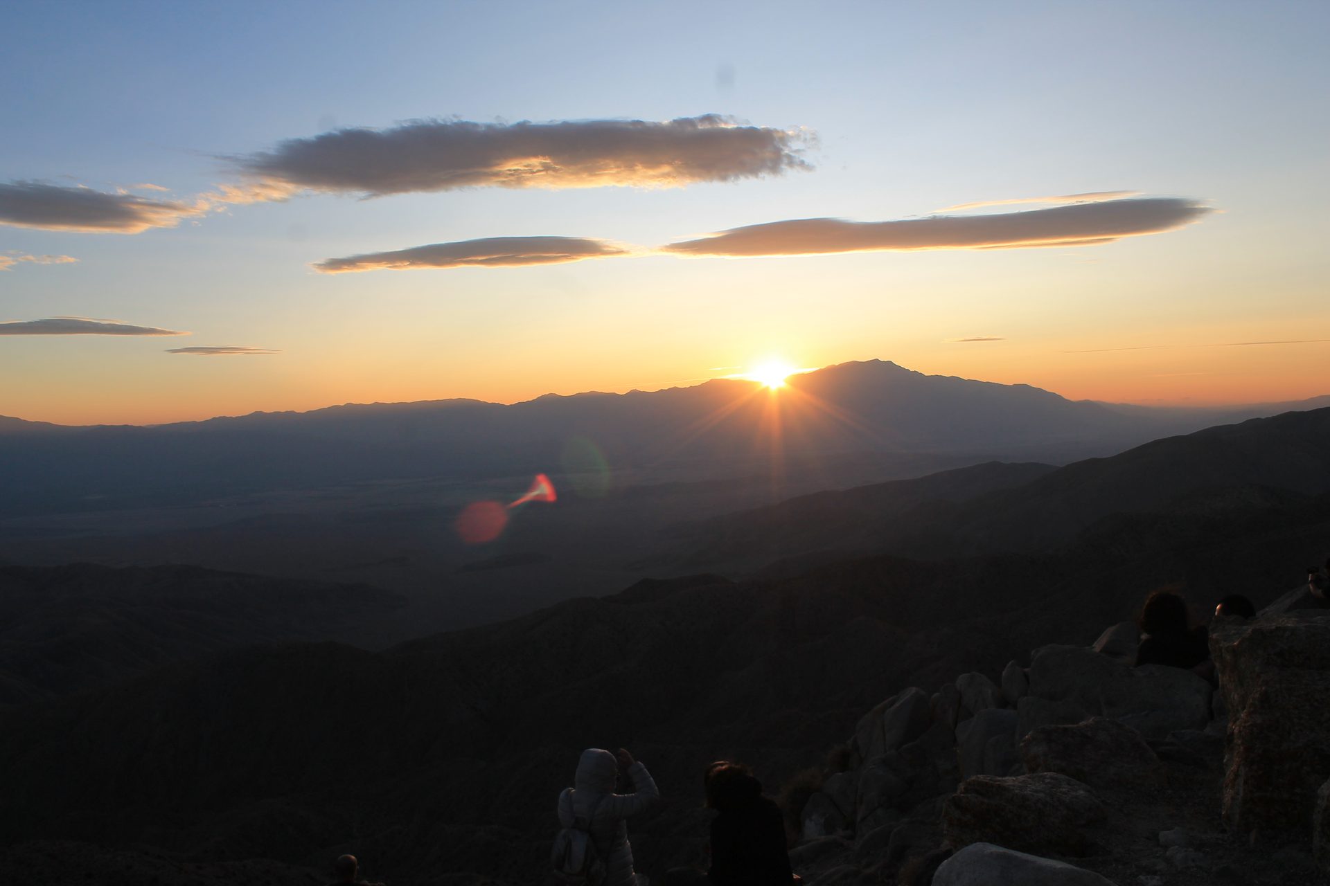 Joshua Tree photo