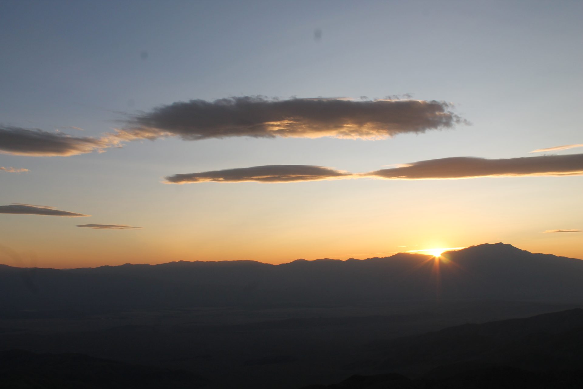 Joshua Tree photo