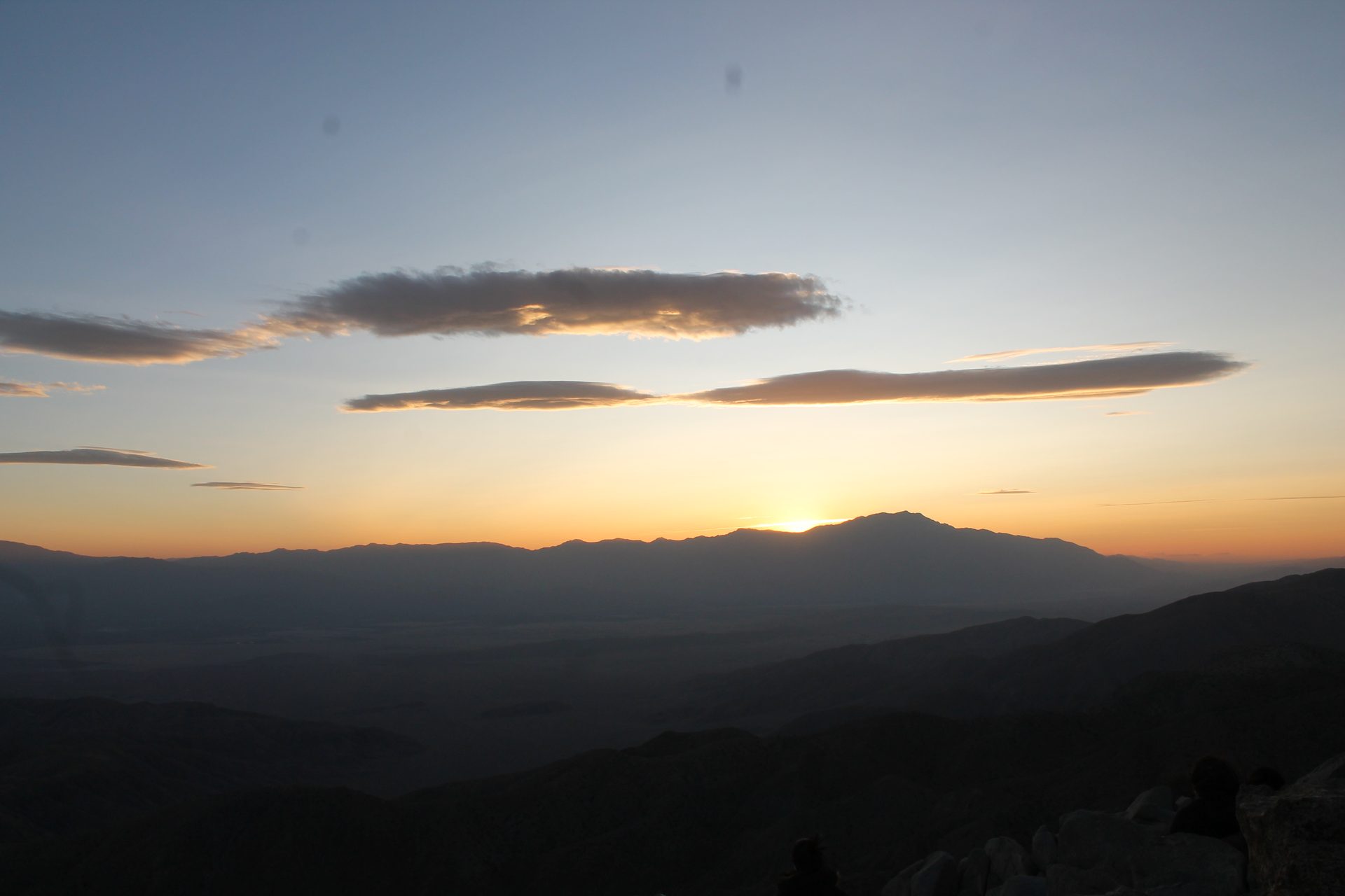 Joshua Tree photo