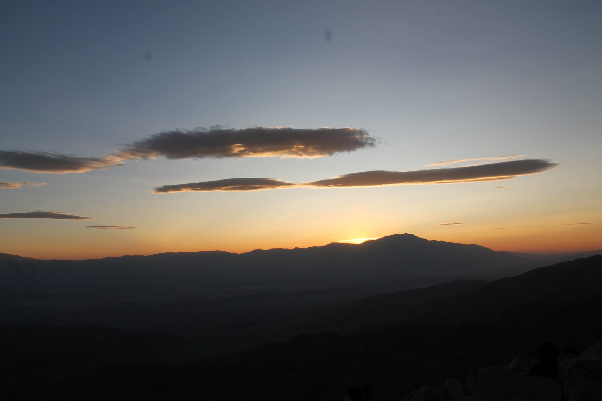 Joshua Tree photo