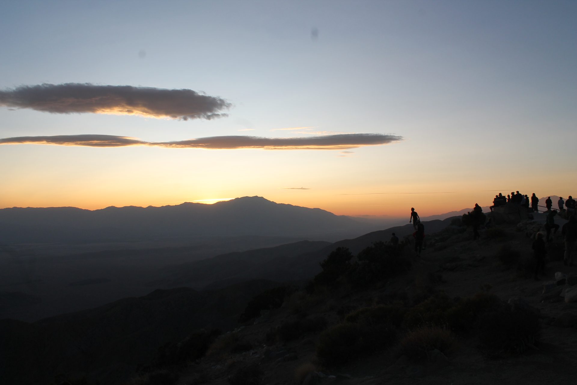 Joshua Tree photo