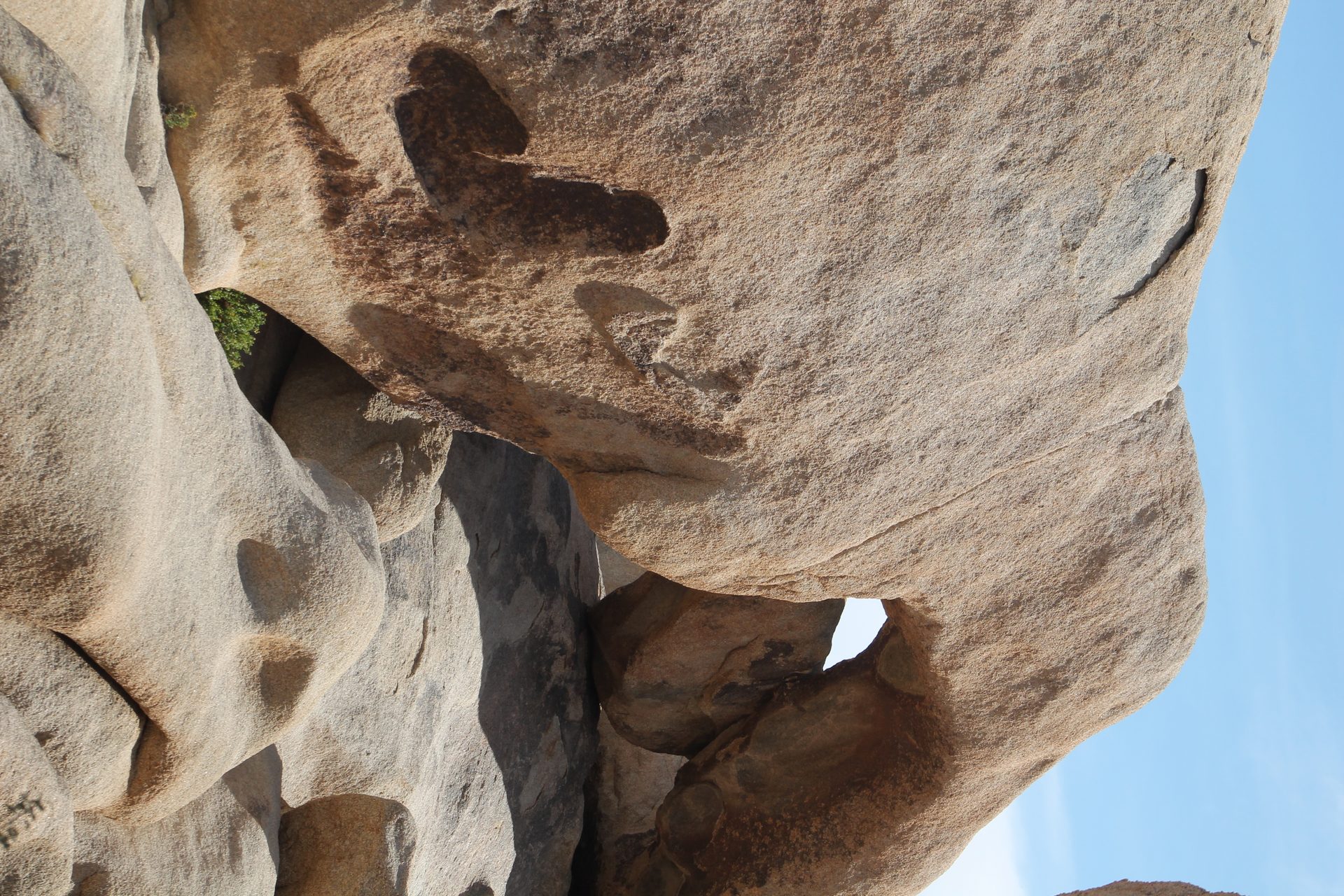 Joshua Tree photo