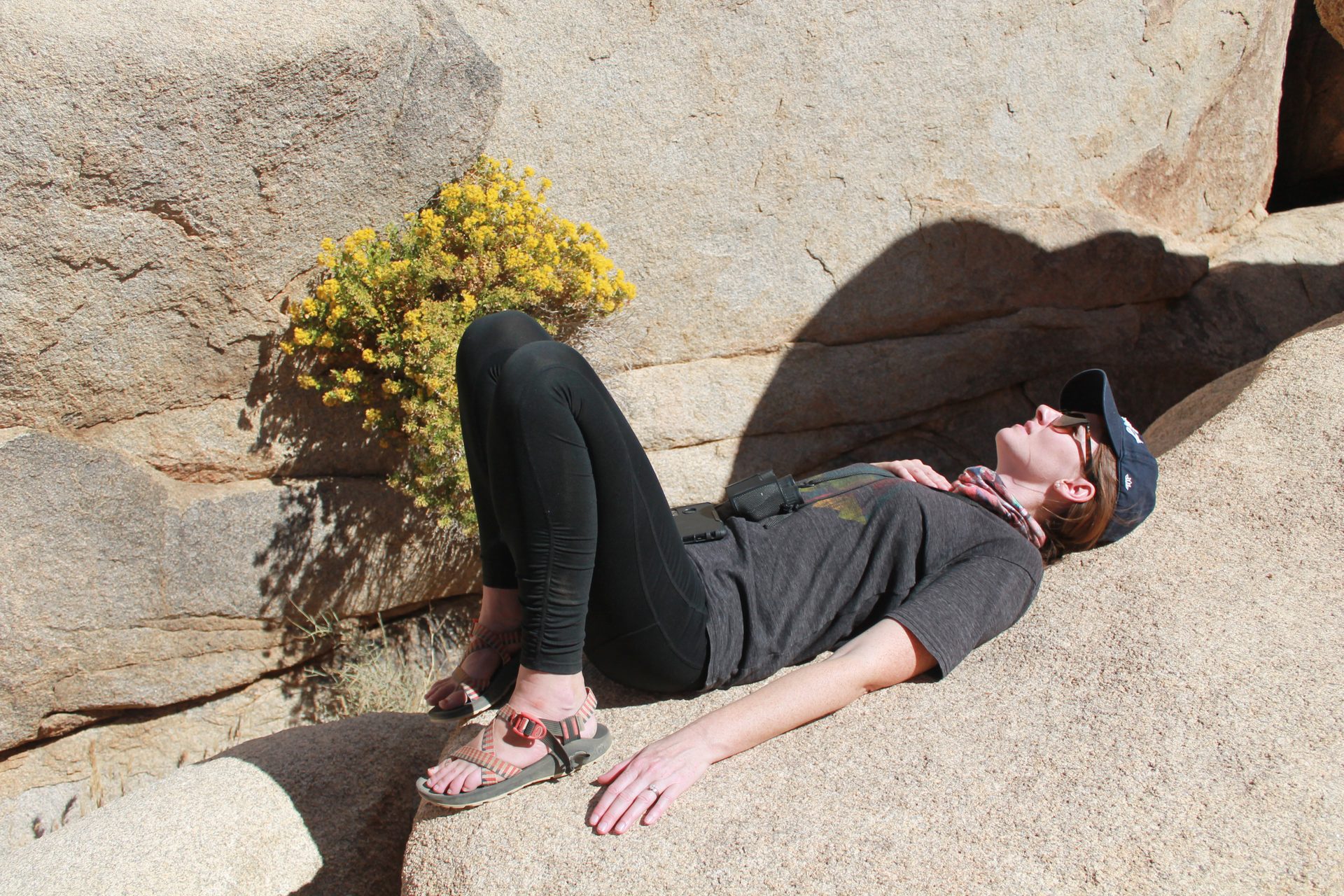 Joshua Tree photo