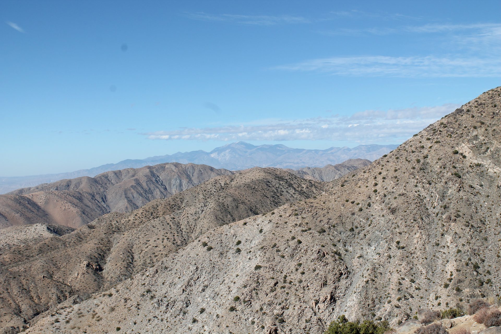 Joshua Tree photo