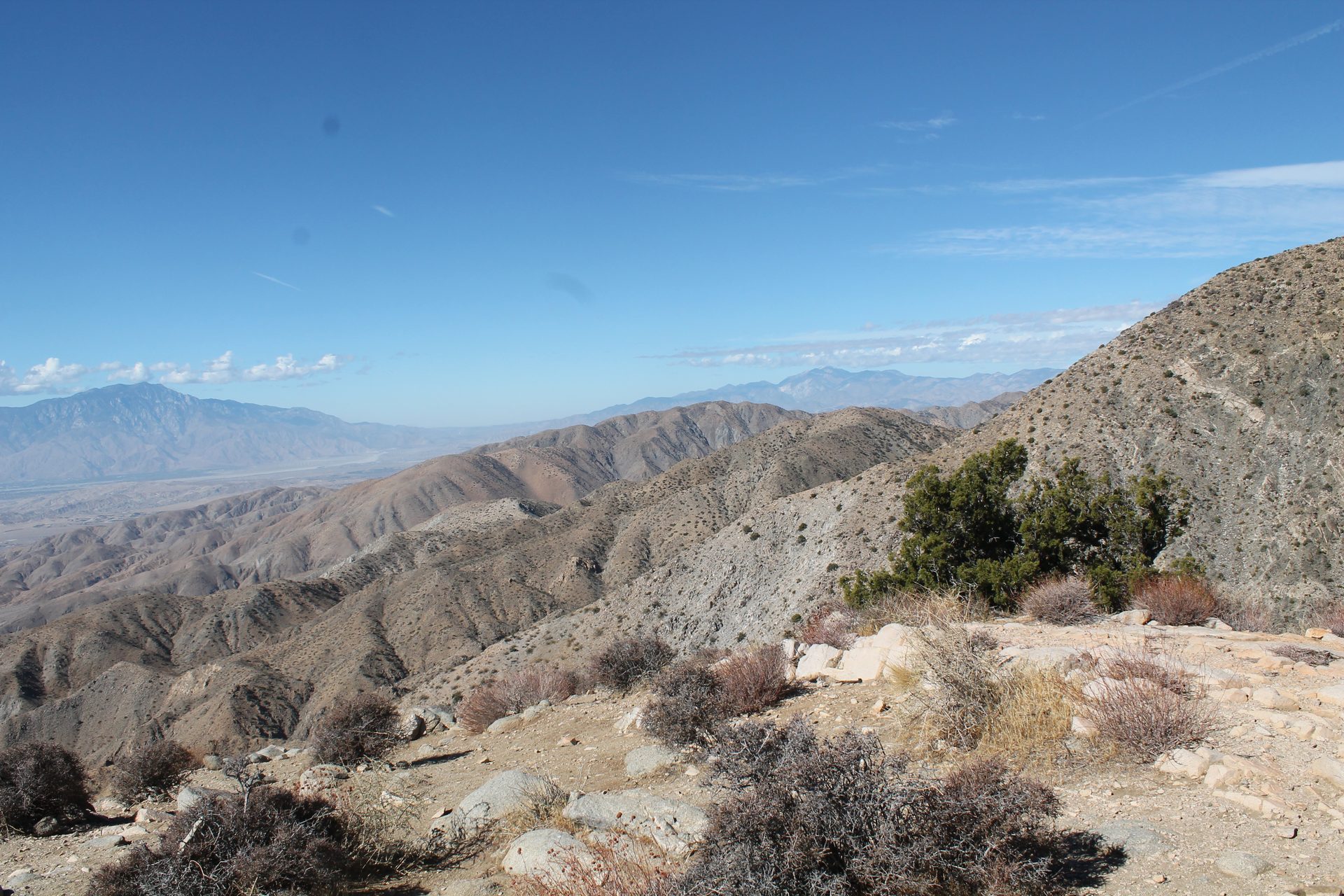 Joshua Tree photo