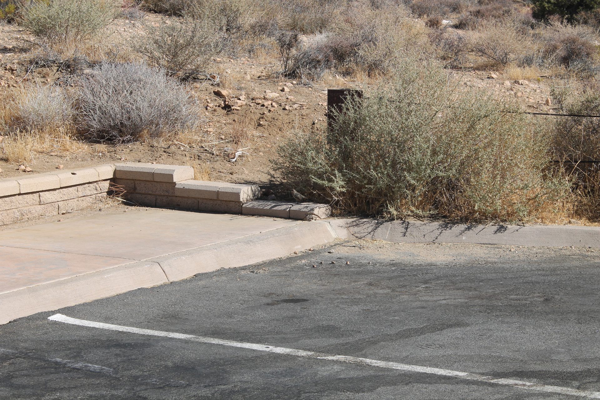 Joshua Tree photo