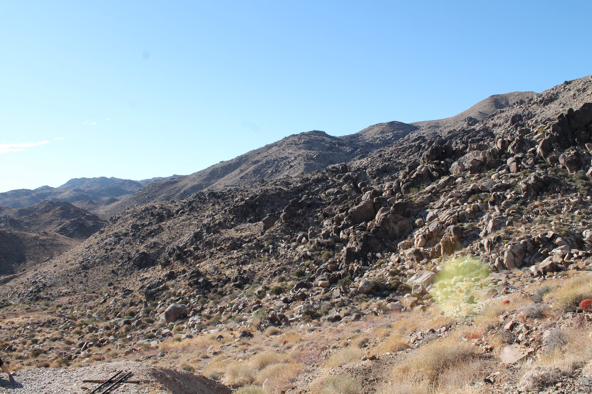 Joshua Tree photo