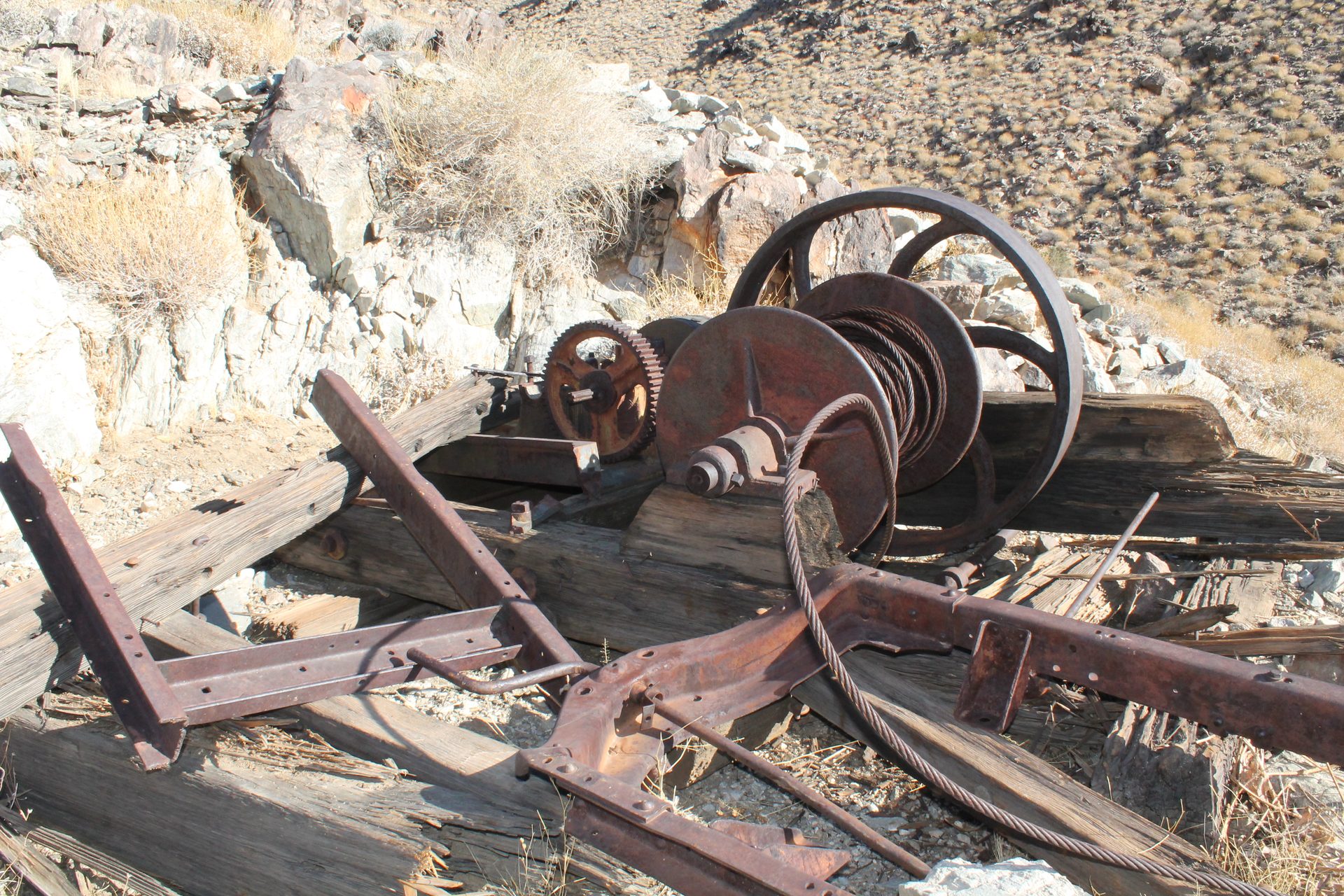Joshua Tree photo