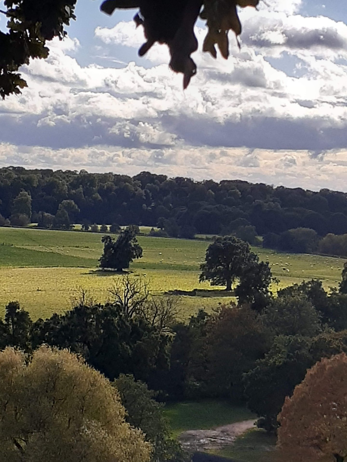Sabbatical in Oxford photo