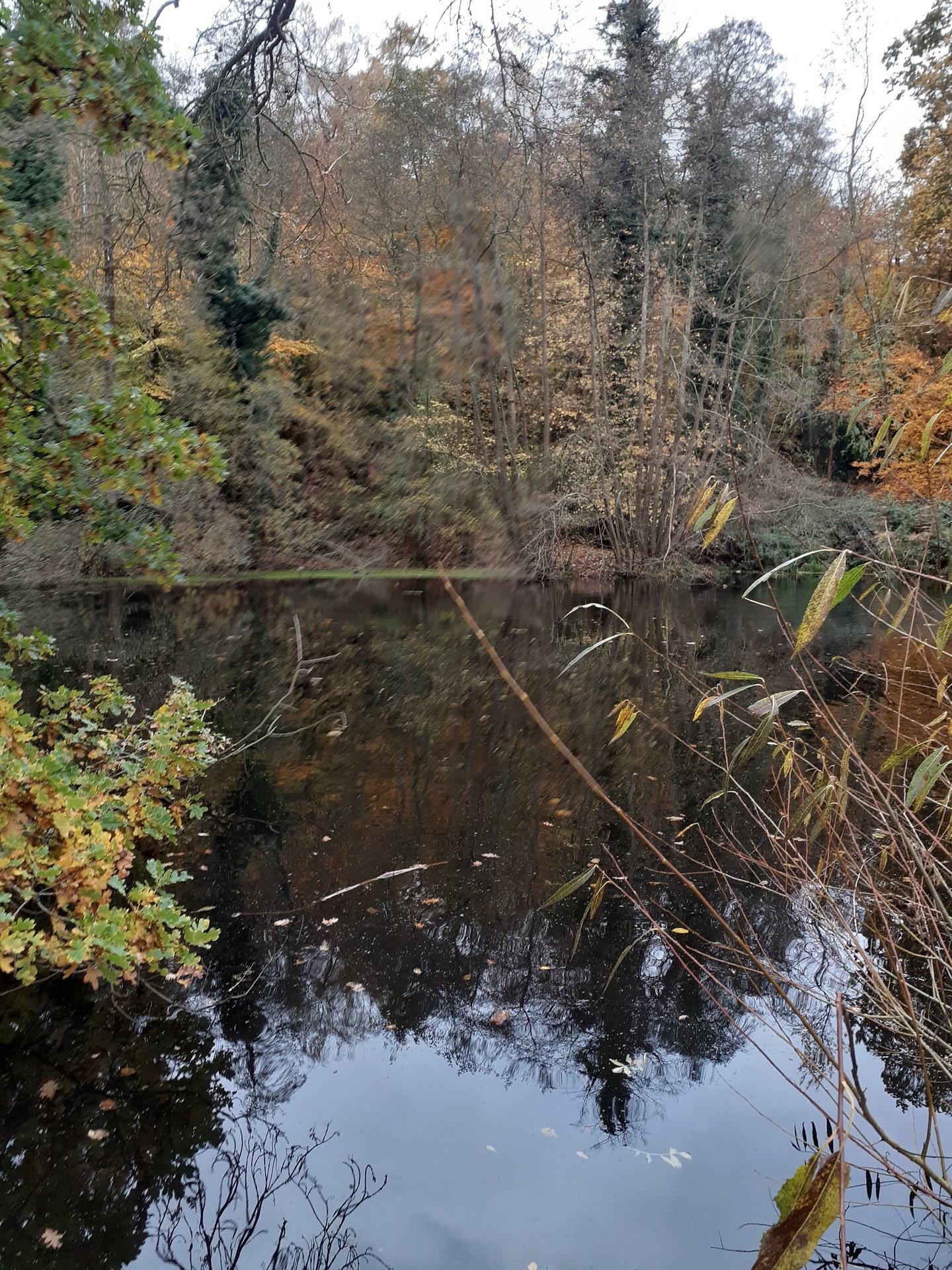 Sabbatical in Oxford photo