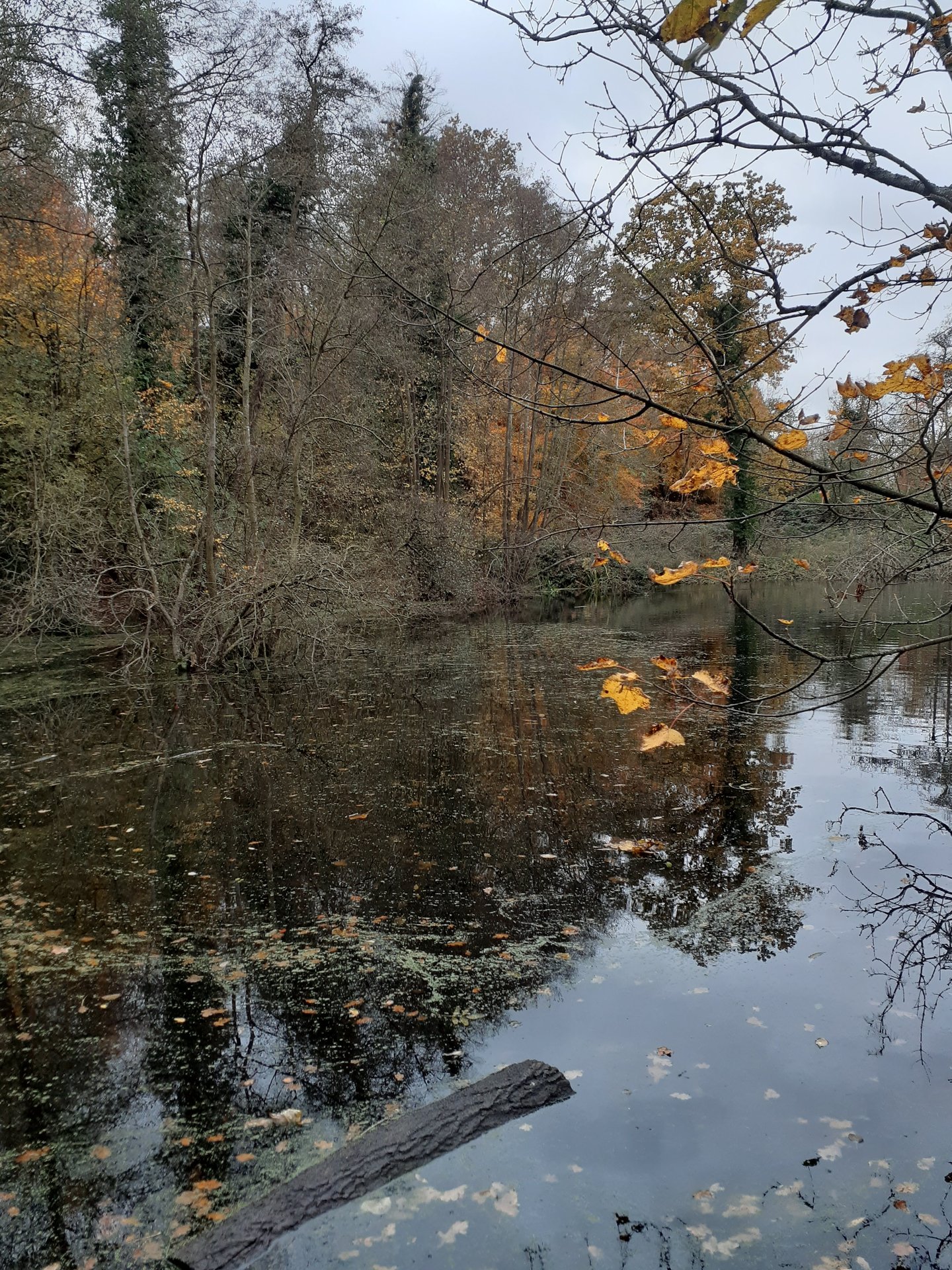 Sabbatical in Oxford photo