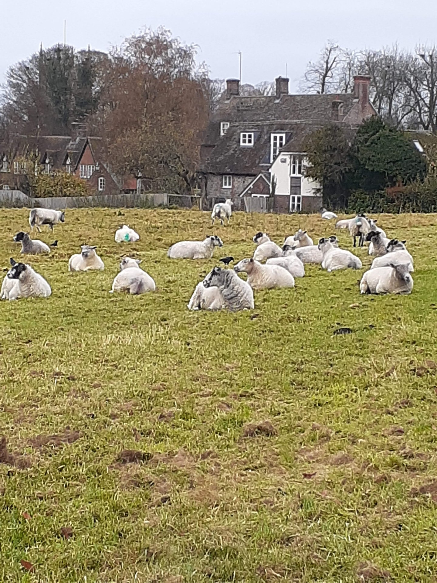 Sabbatical in Oxford photo