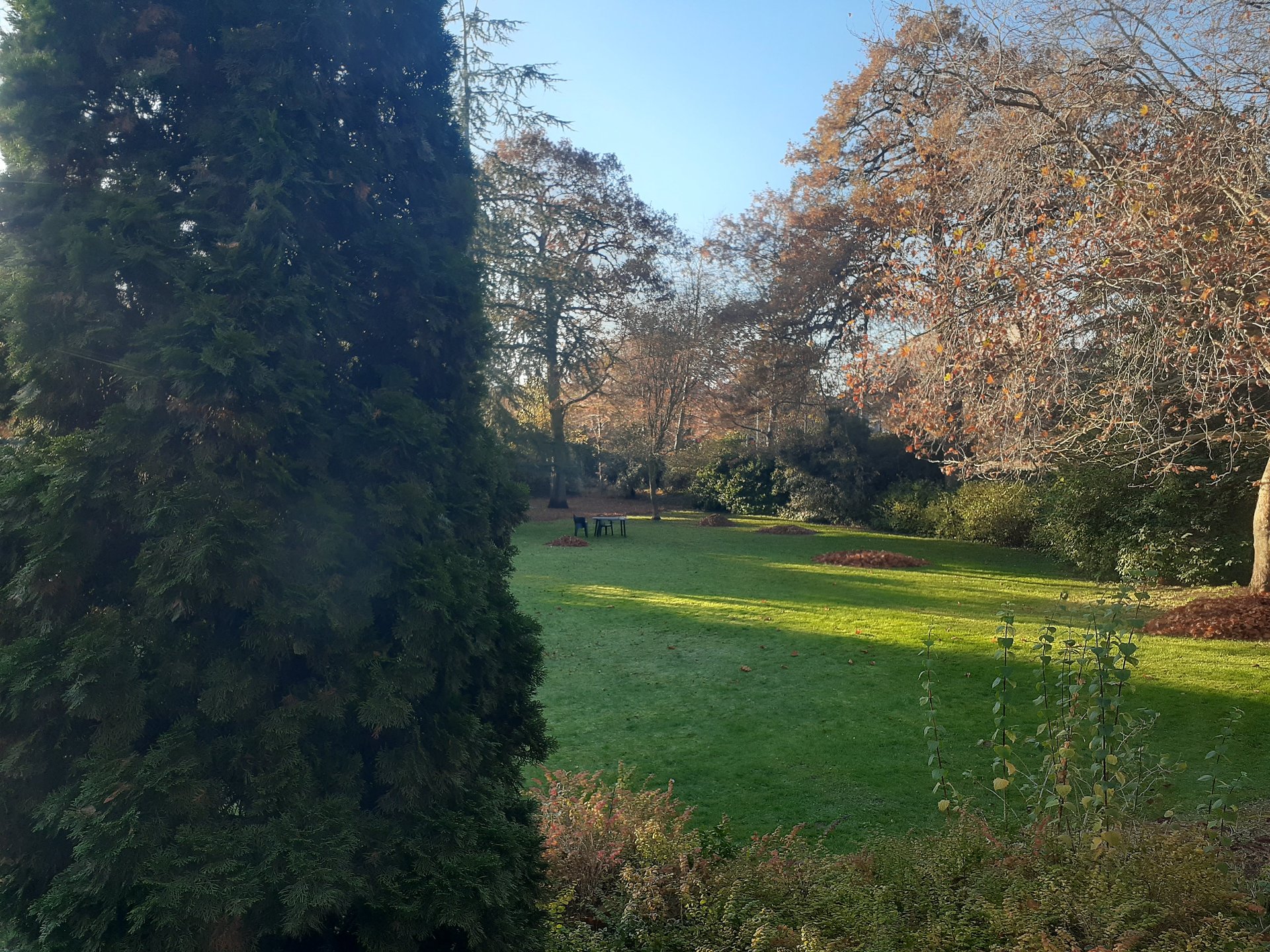 Sabbatical in Oxford photo