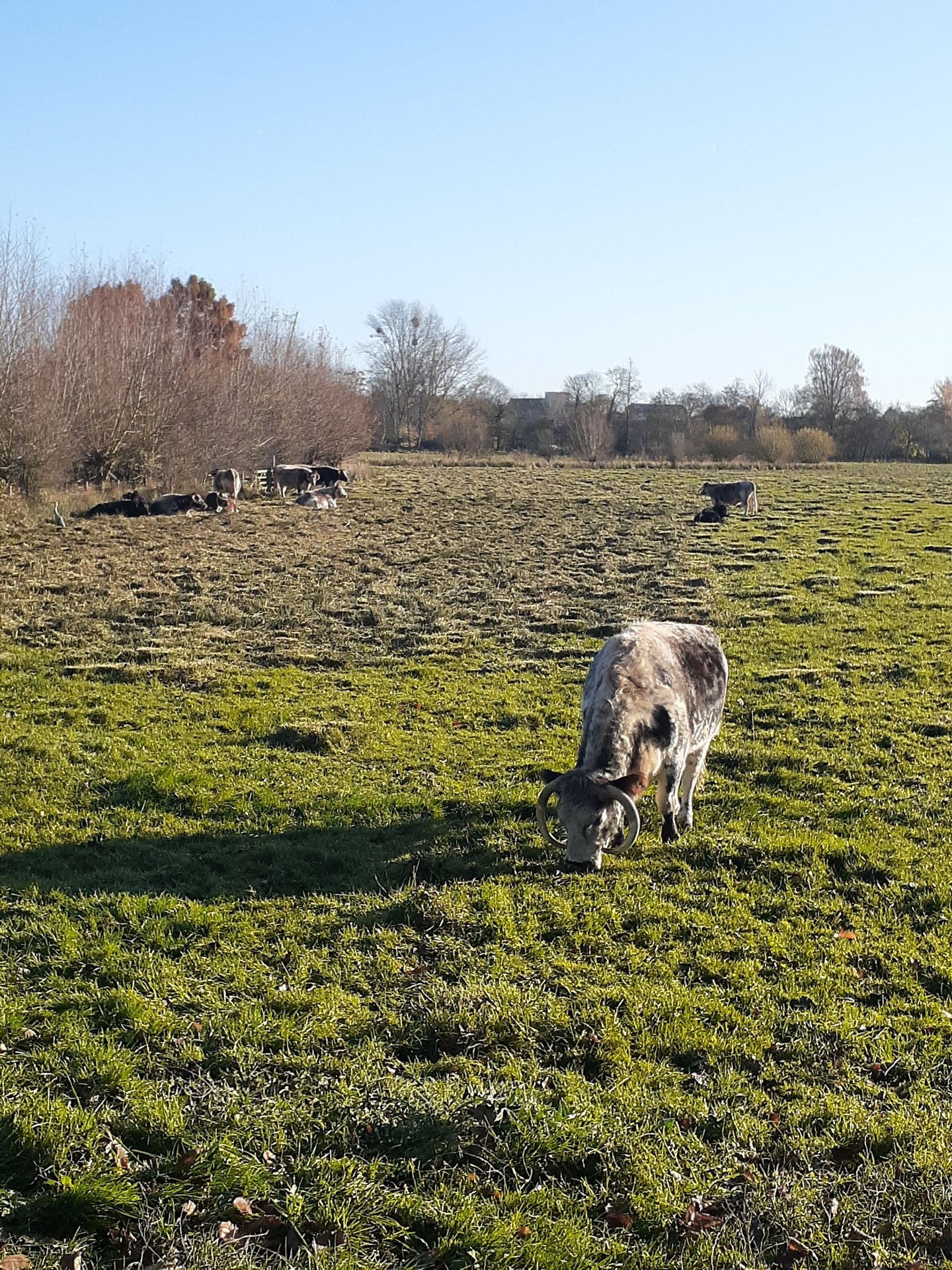 Sabbatical in Oxford photo
