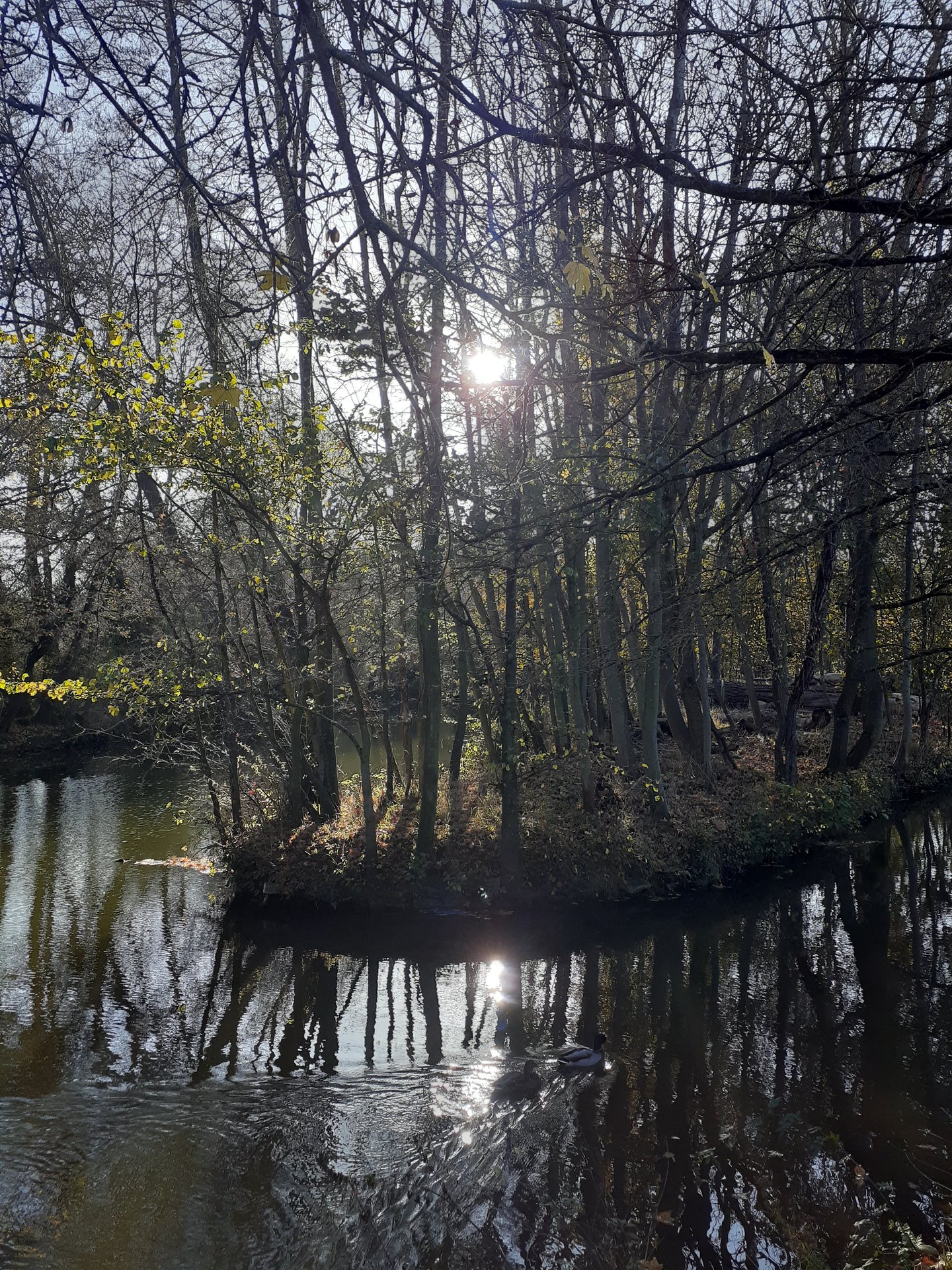 Sabbatical in Oxford photo