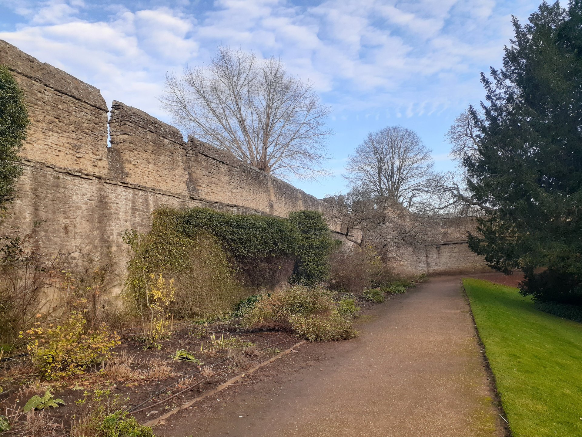 Sabbatical in Oxford photo