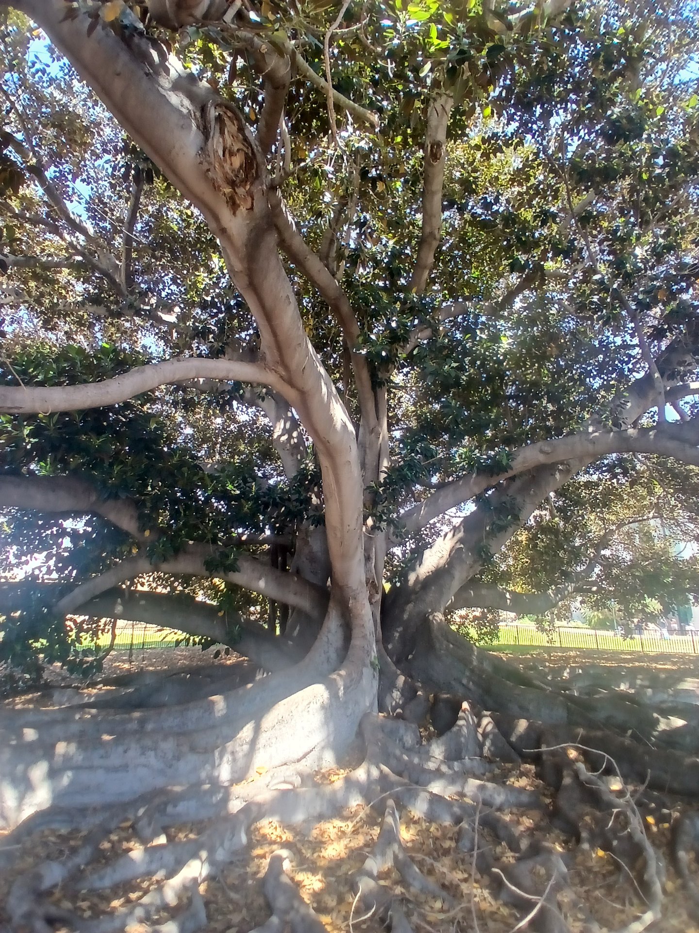 San Diego photo