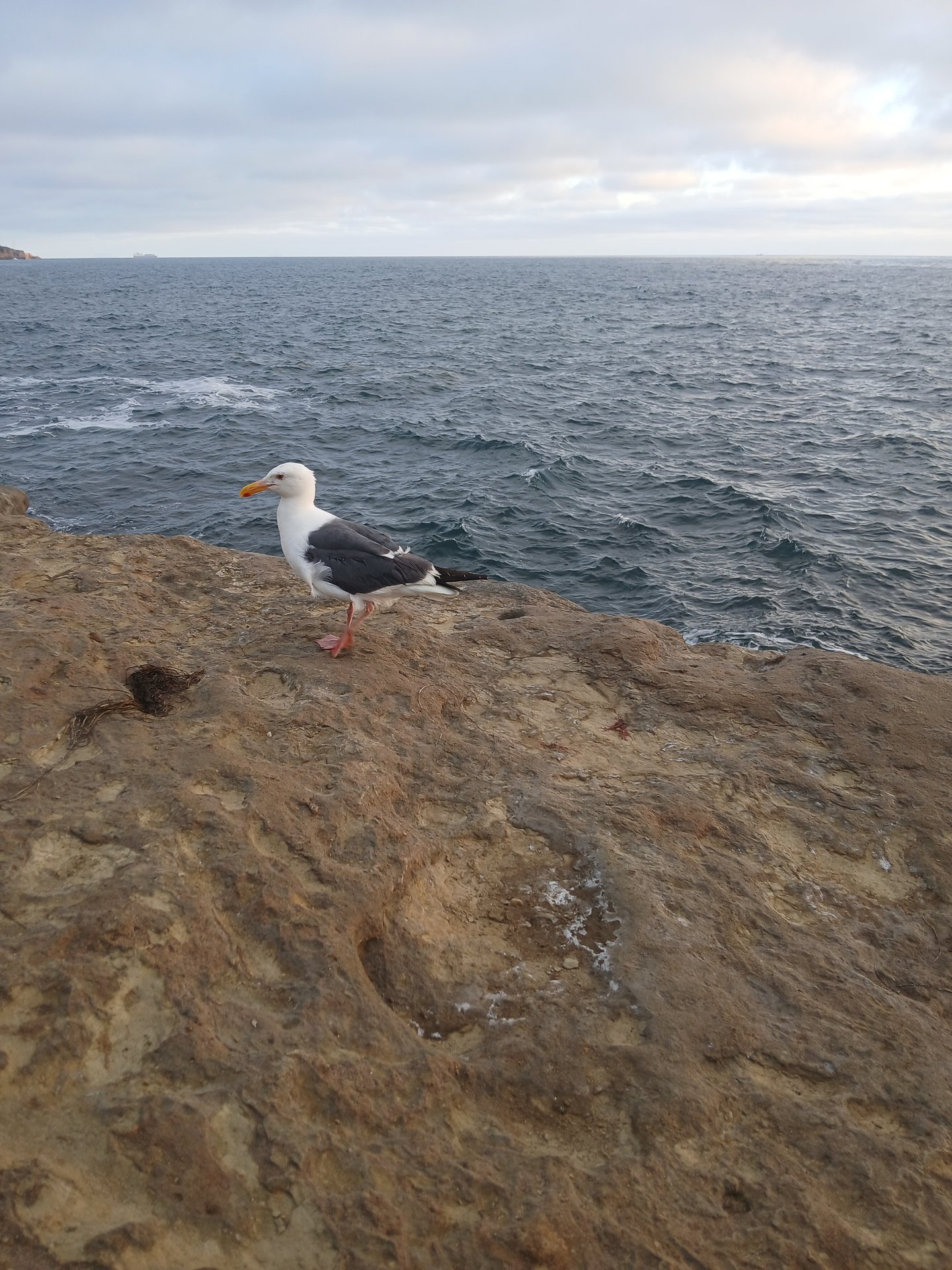 San Diego photo