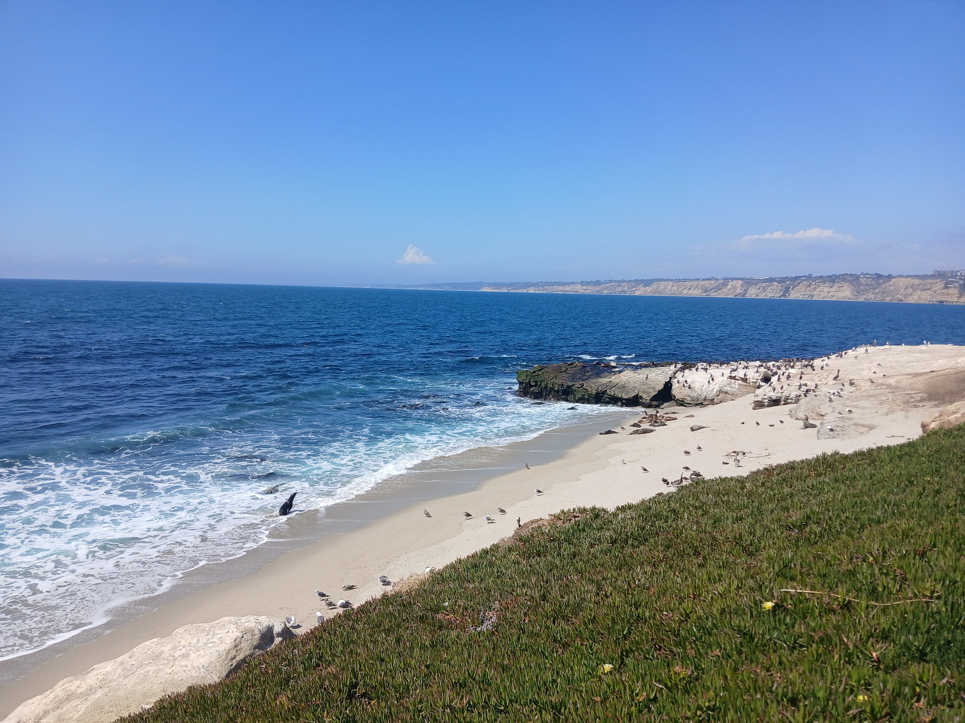 San Diego photo