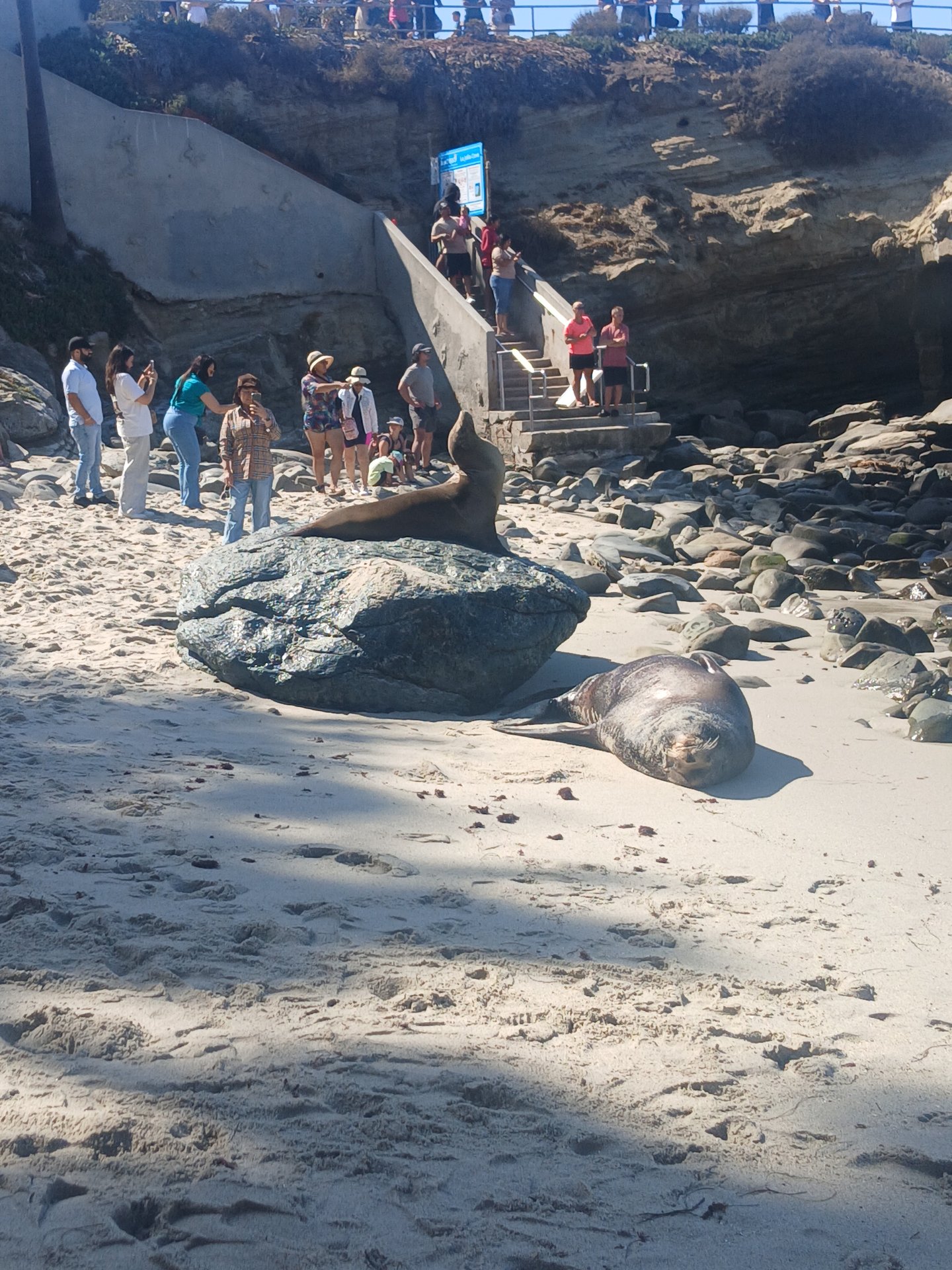 San Diego photo