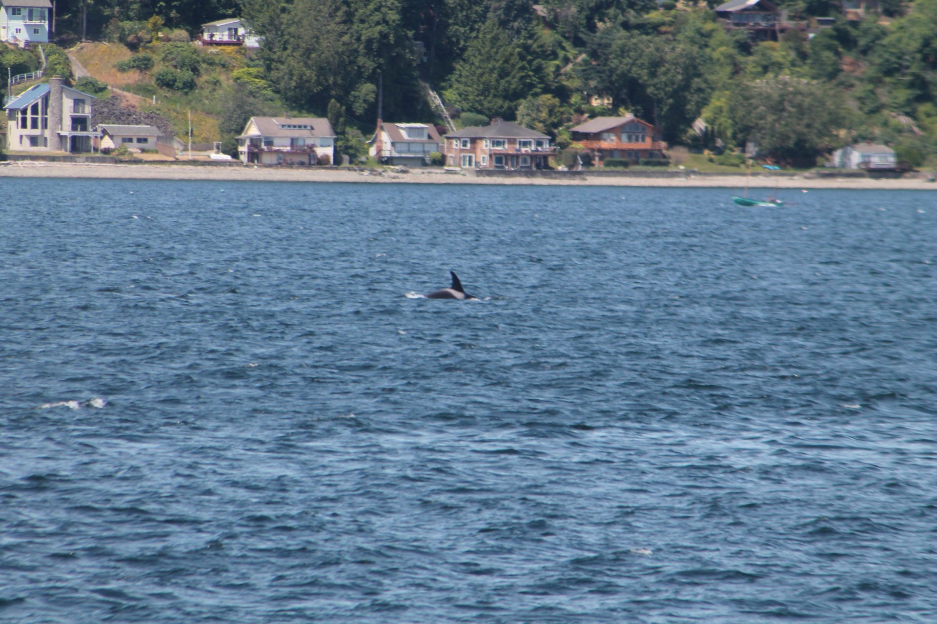 Seattle photo