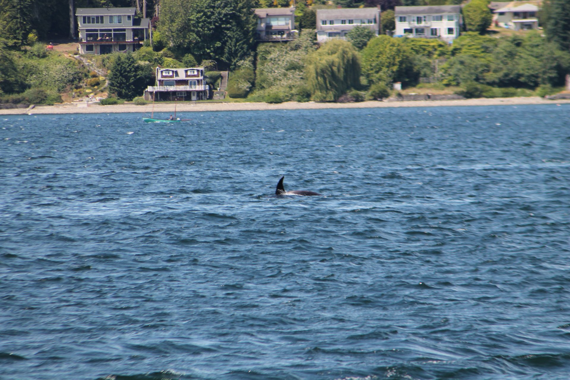 Seattle photo