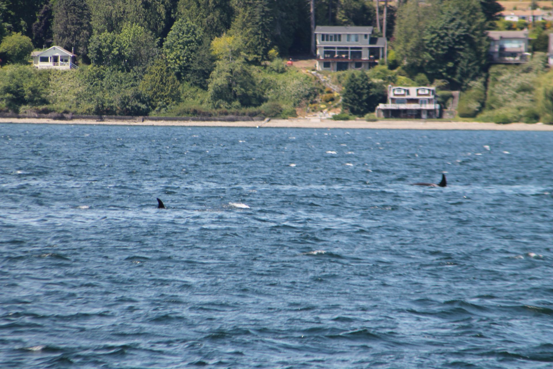 Seattle photo