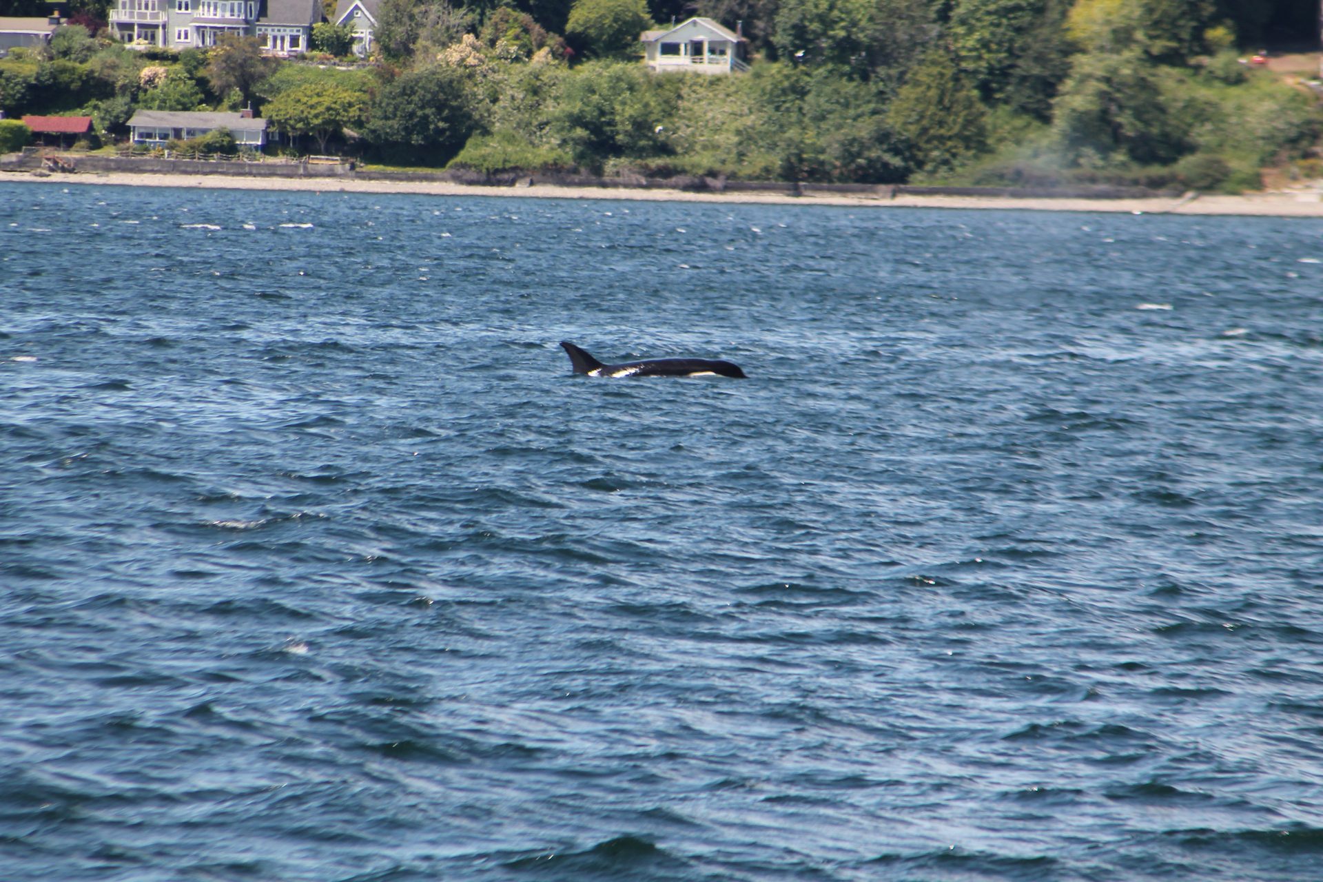 Seattle photo