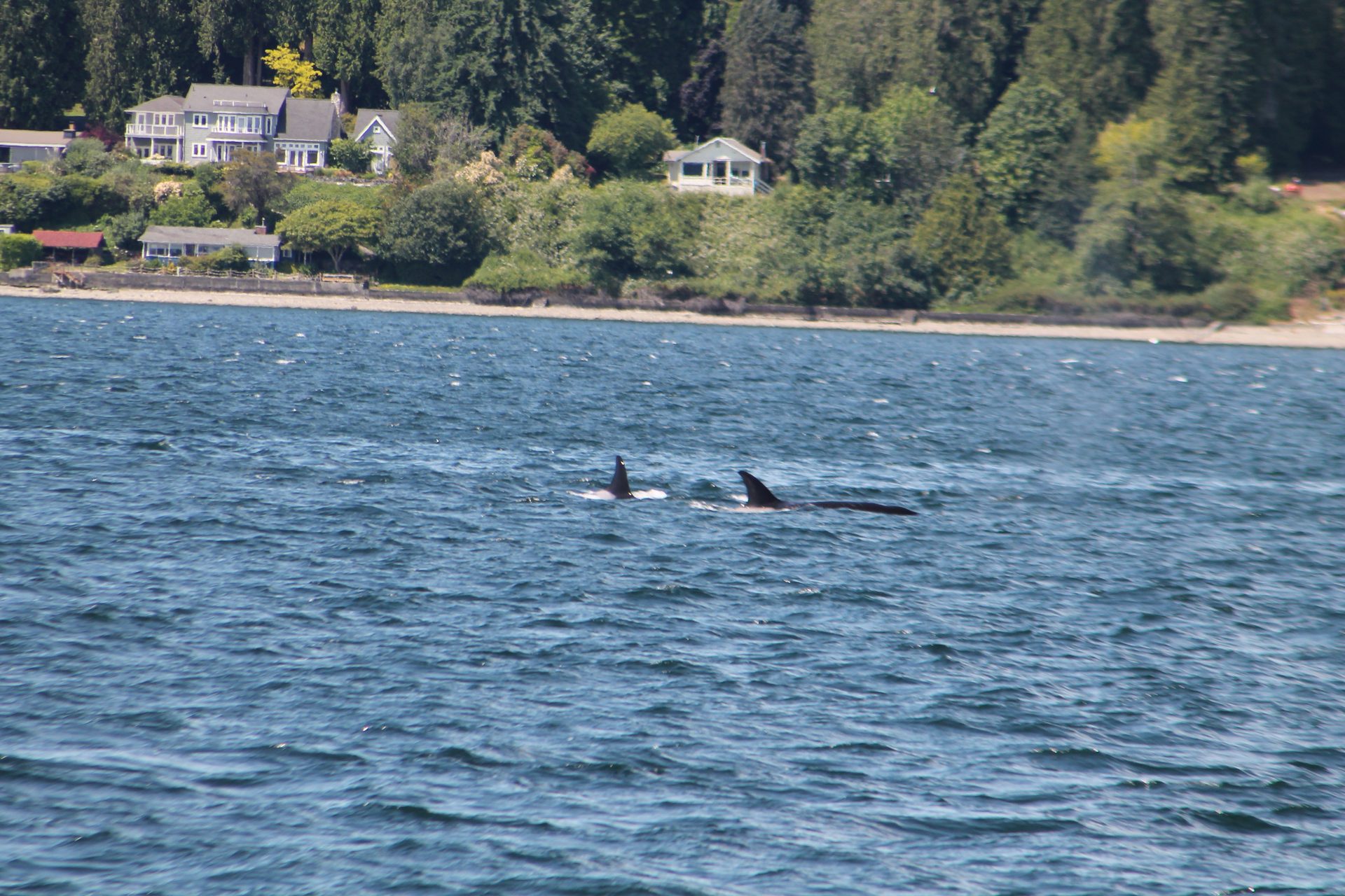 Seattle photo