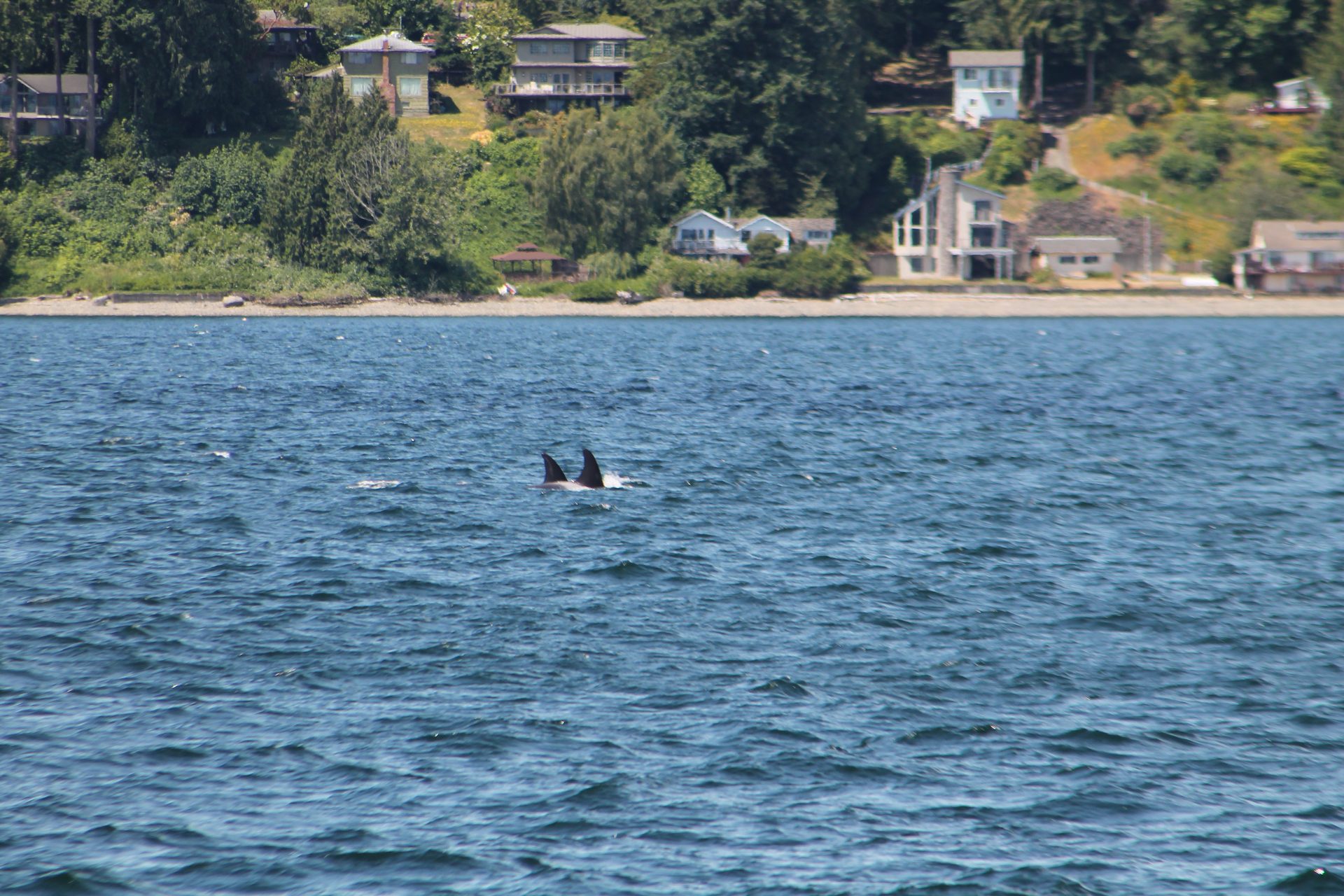 Seattle photo