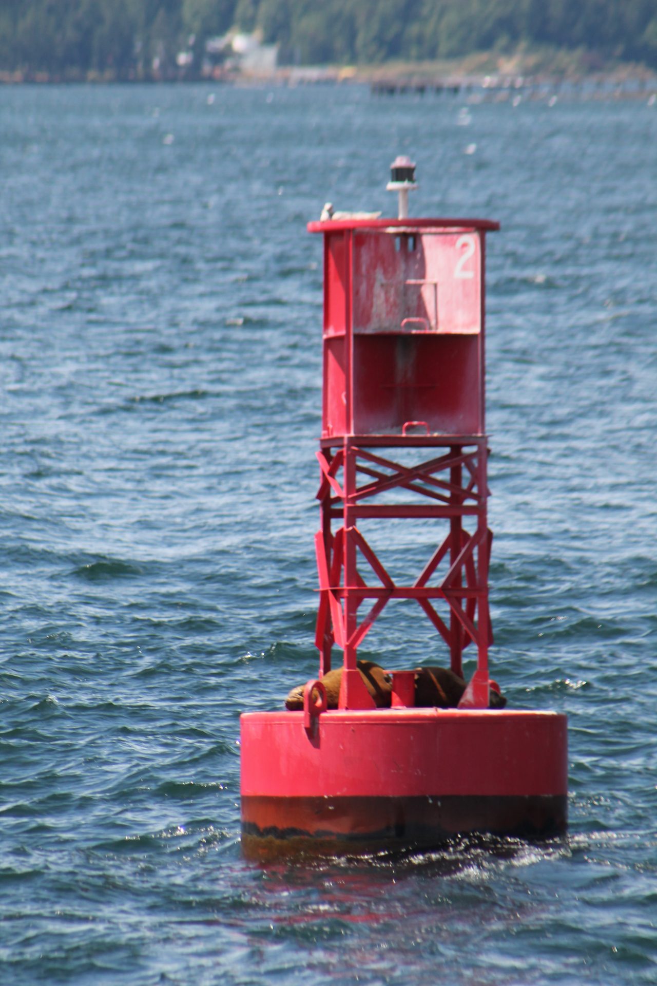 Seattle photo