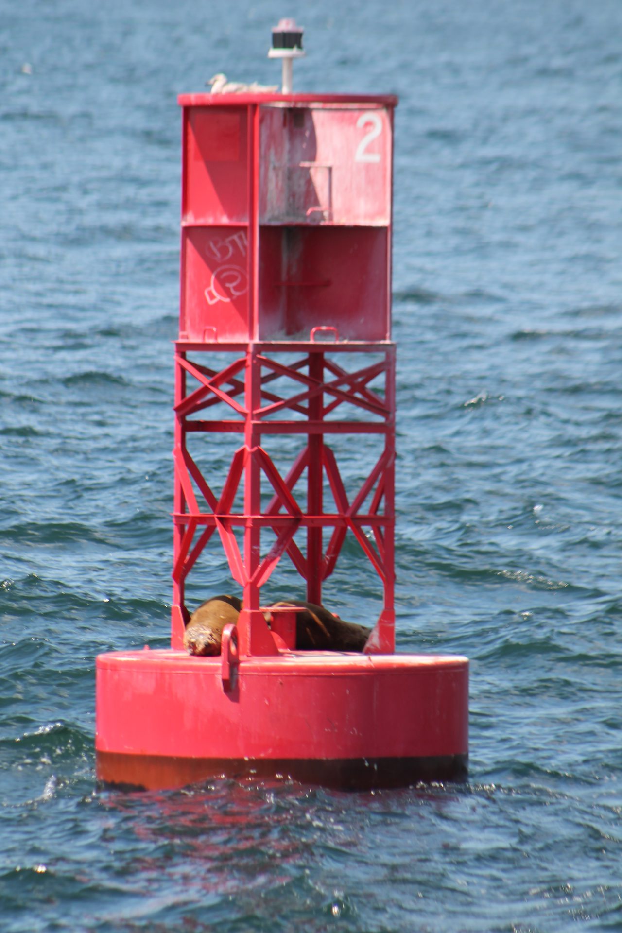 Seattle photo
