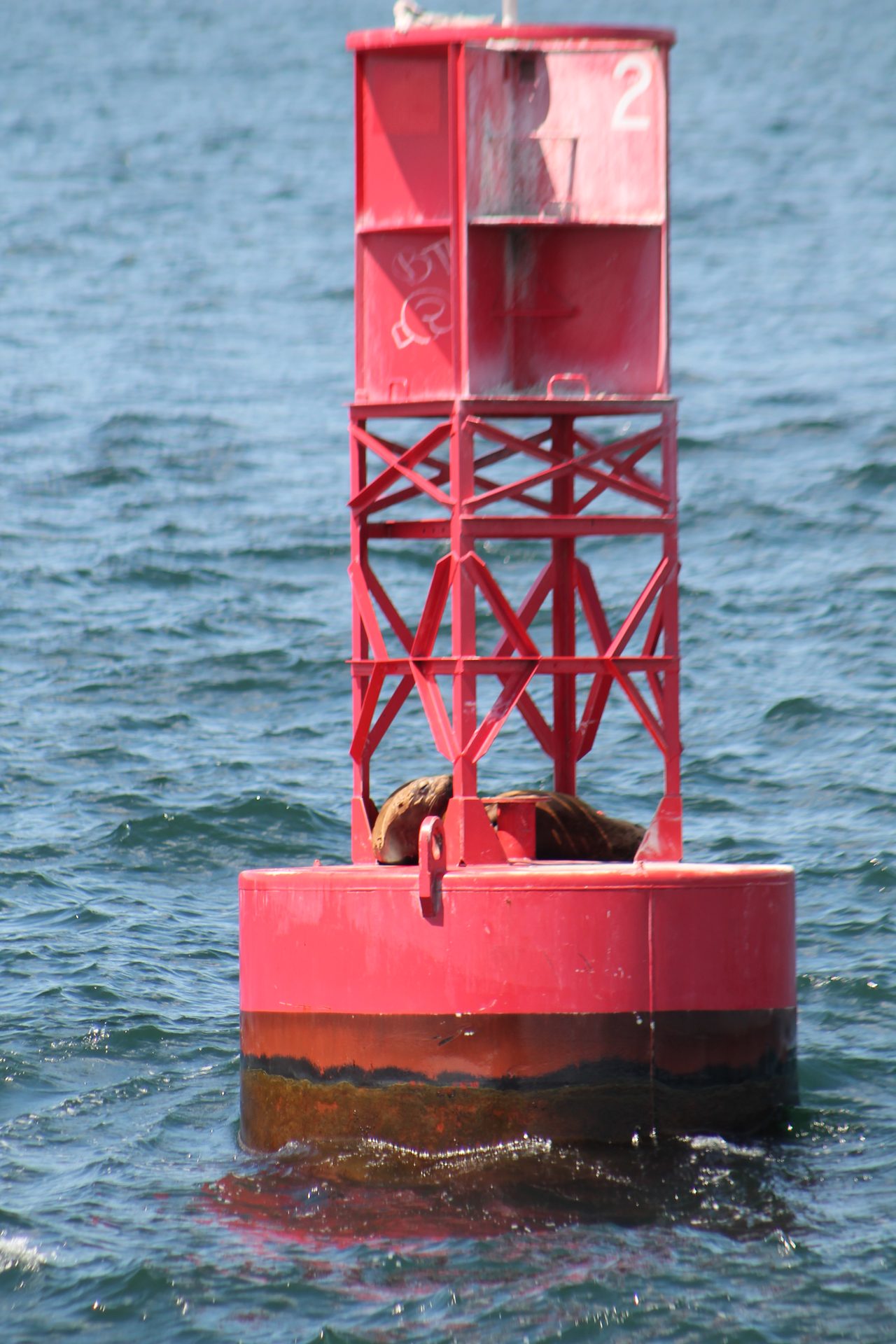 Seattle photo