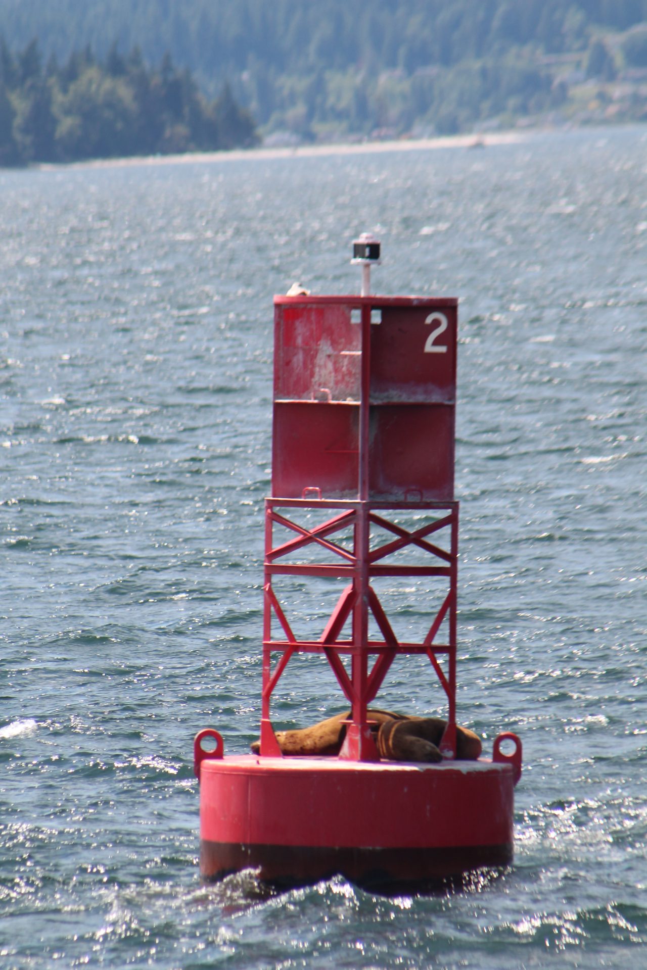Seattle photo
