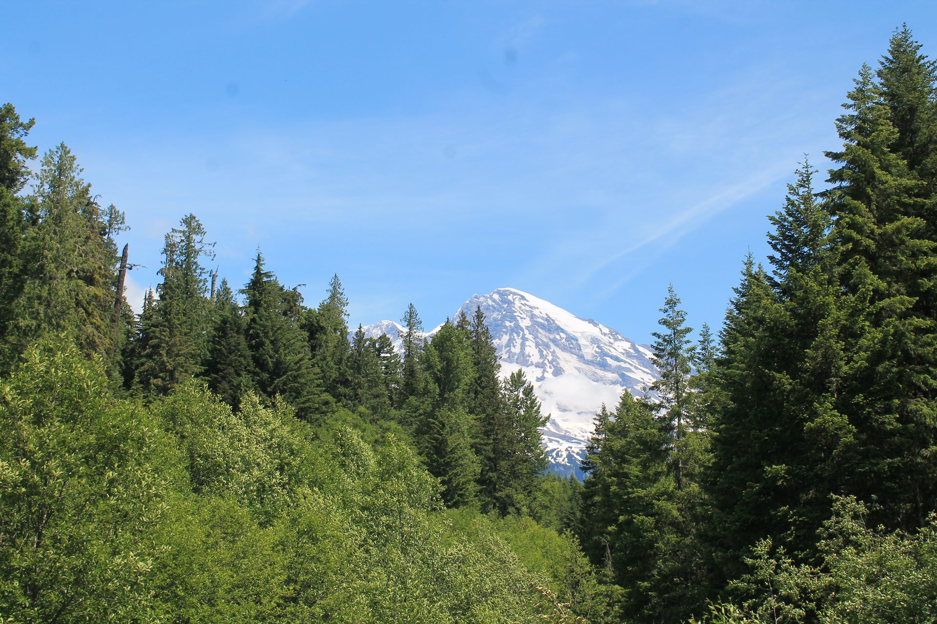Seattle photo