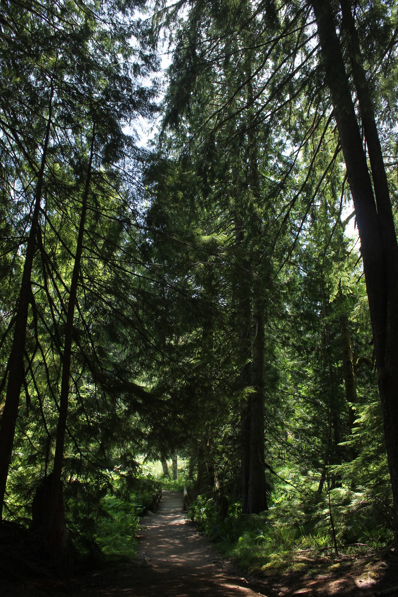 Seattle photo