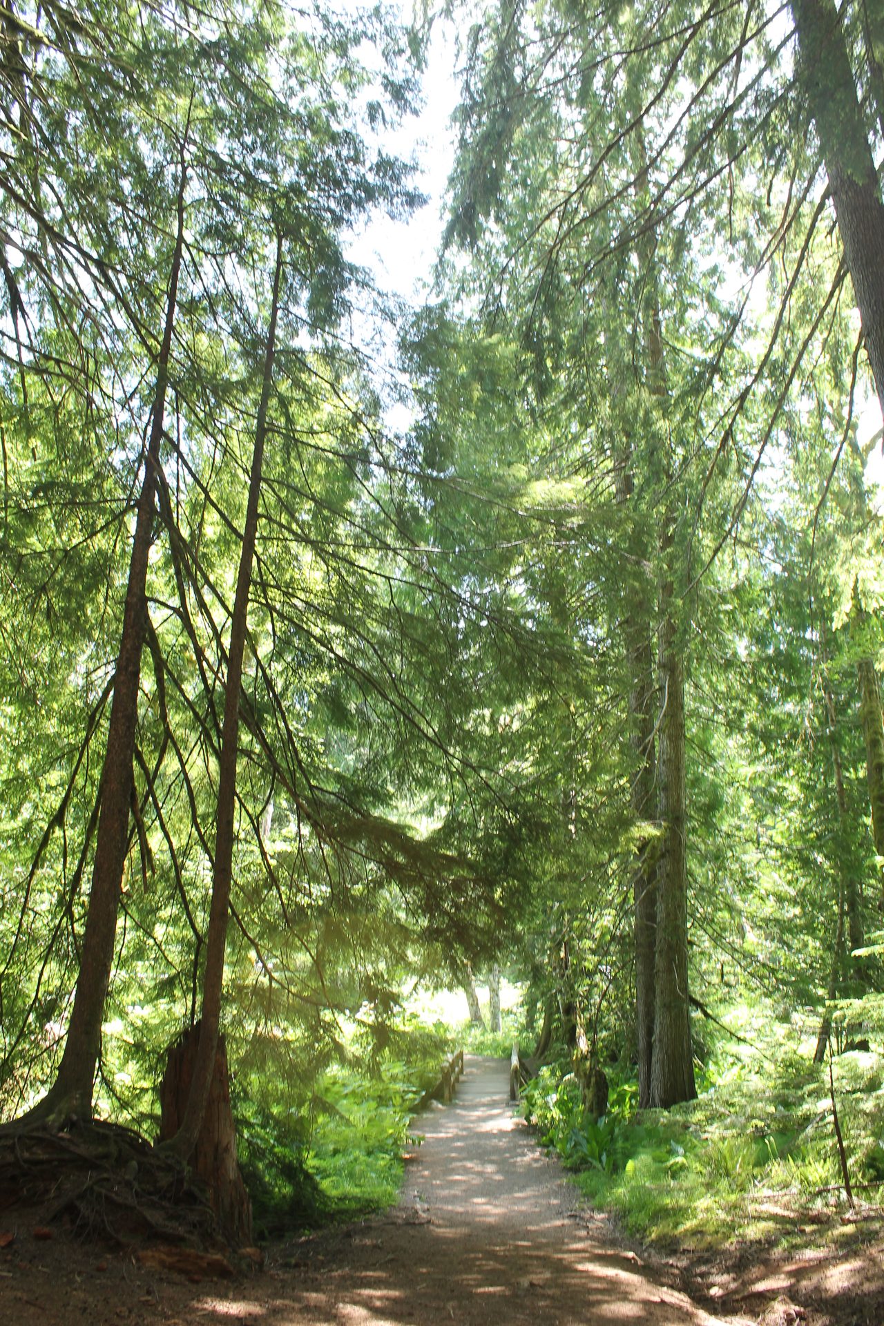 Seattle photo